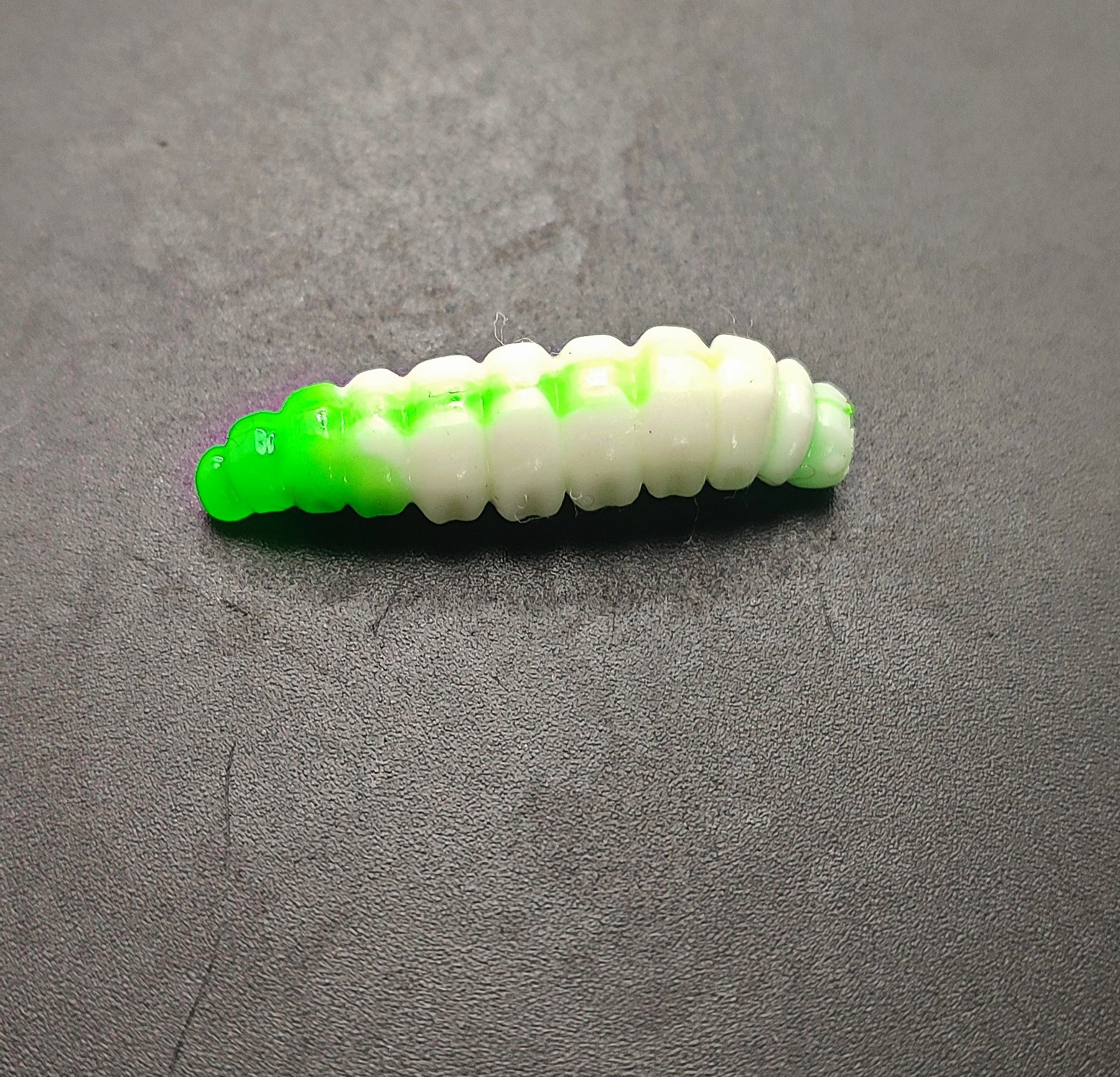 Camola Bicolor (Bianco/Verde)