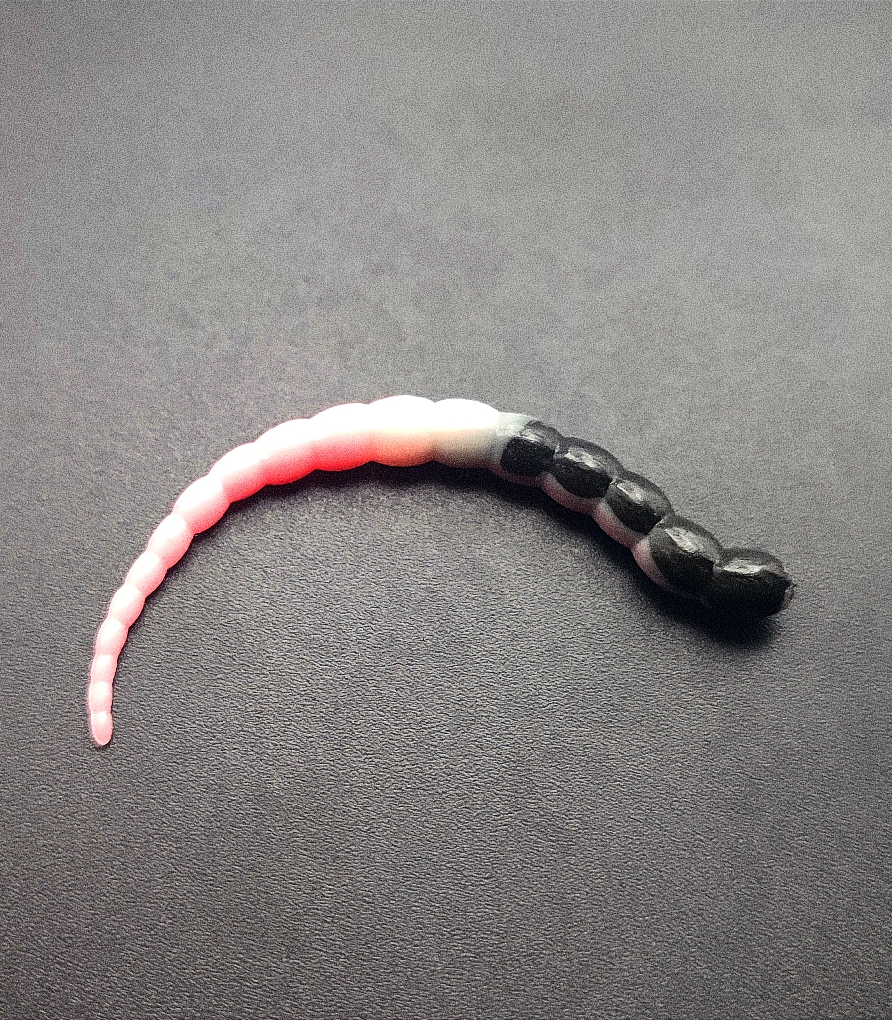 Cobra Tricolor (Nero/Bianco/Rosa)