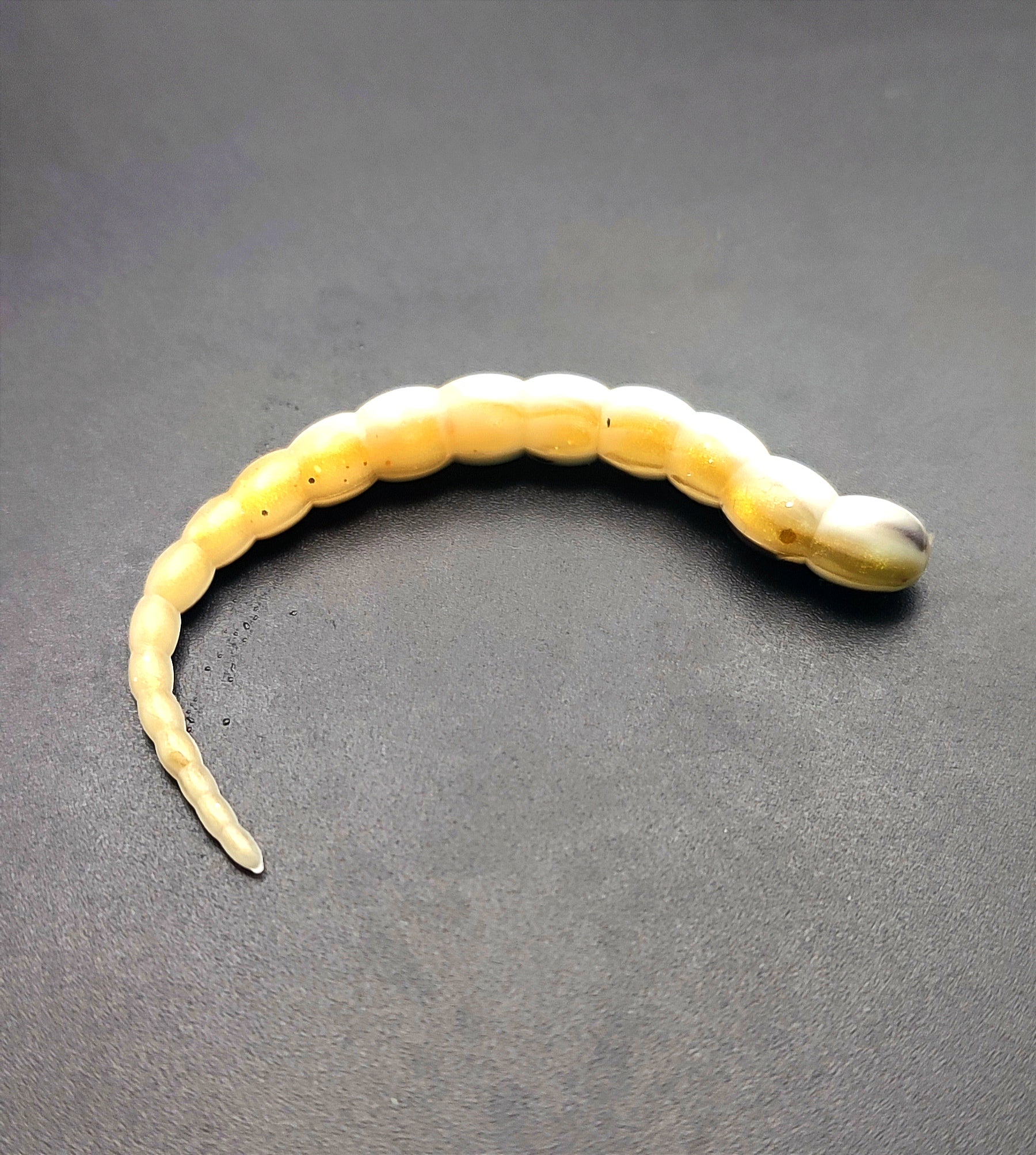 Cobra Tricolor (Bianco/Nero/Oro) 7,5 cm