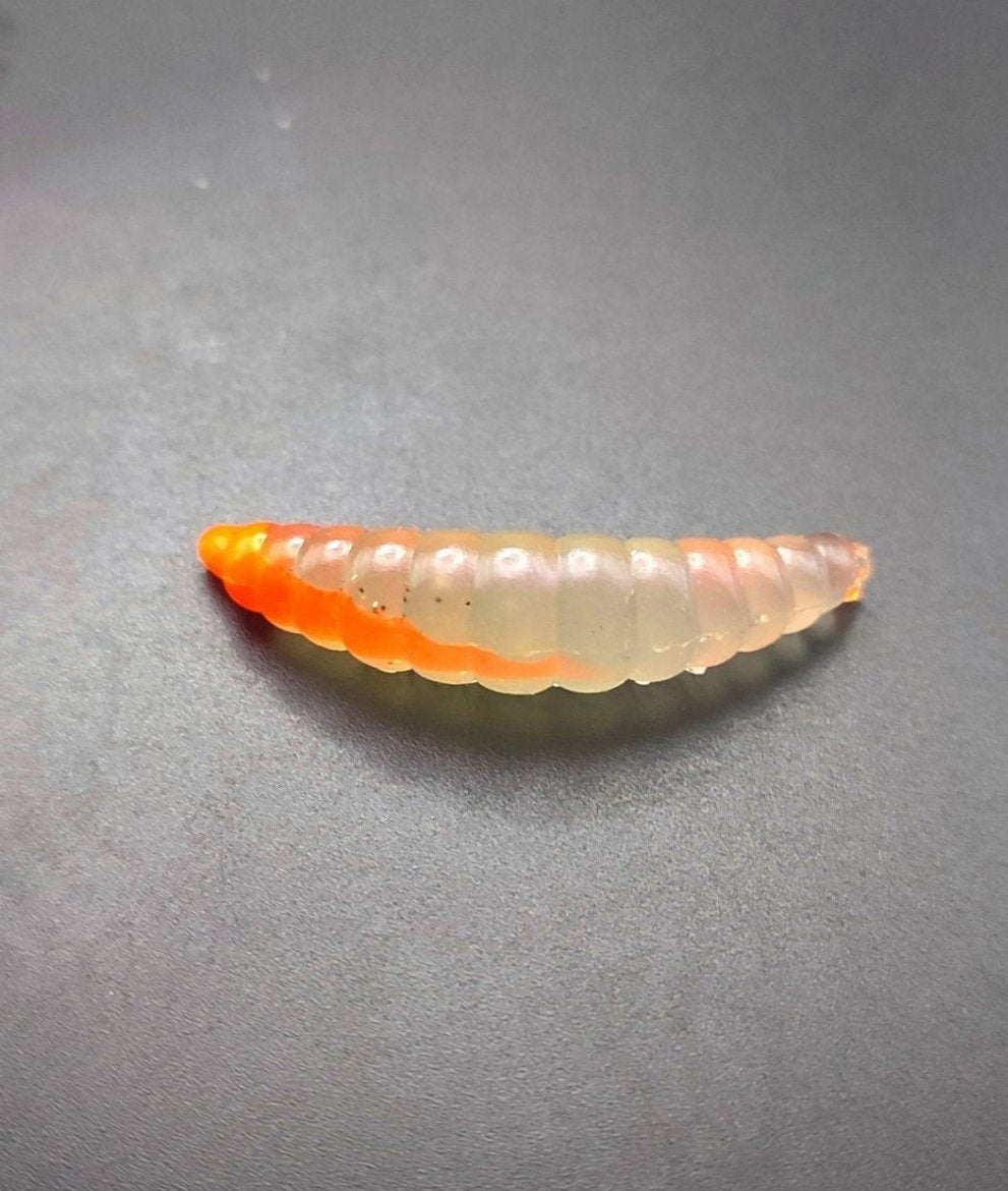Big Riley (Gost/Arancio Fluo)