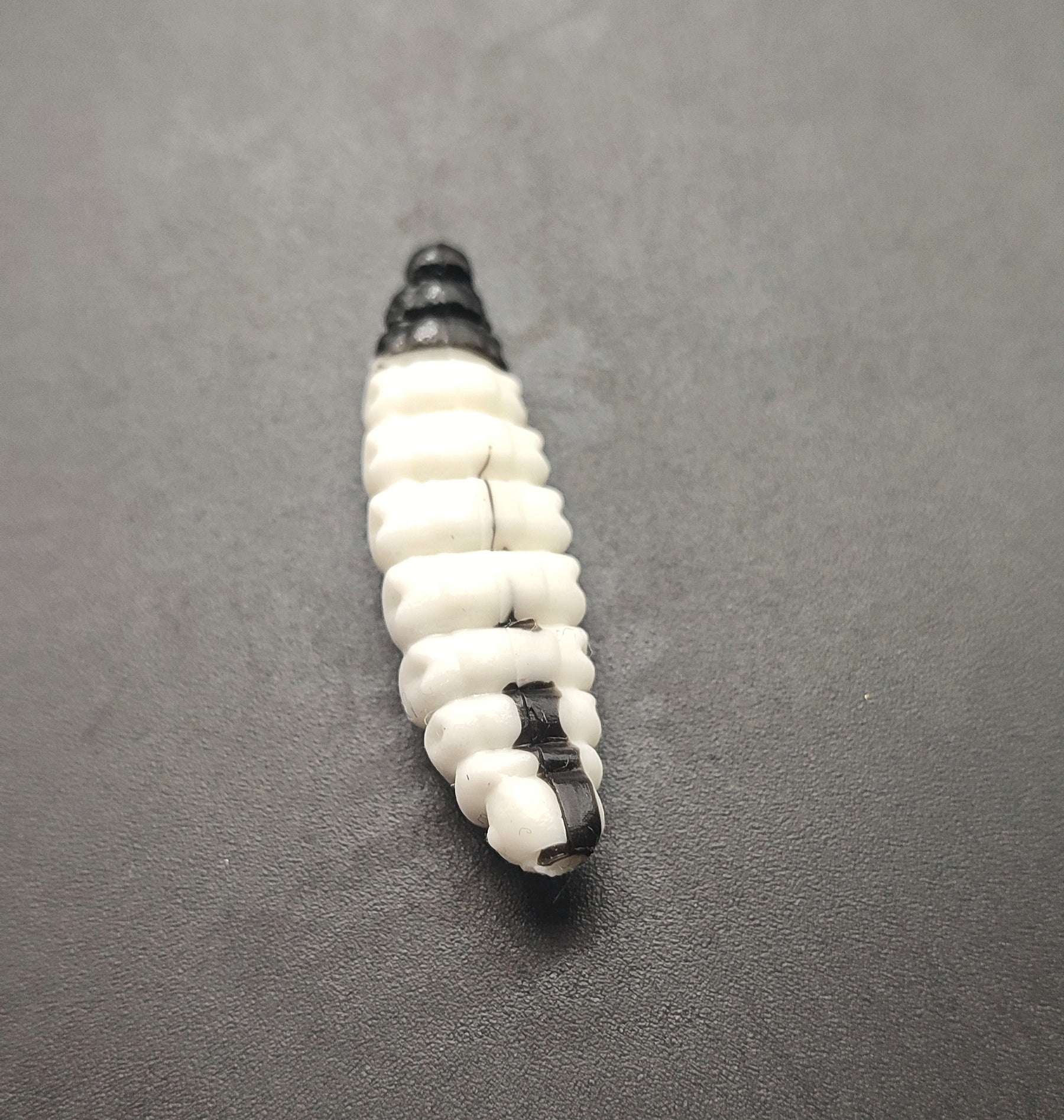 Camola Bicolor (Bianco/Nero)