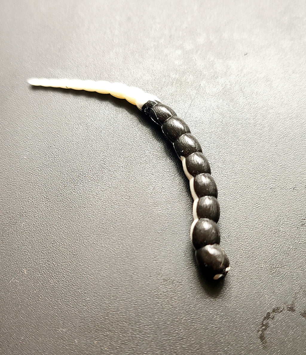 Cobra Bicolor (Bianco/Nero)