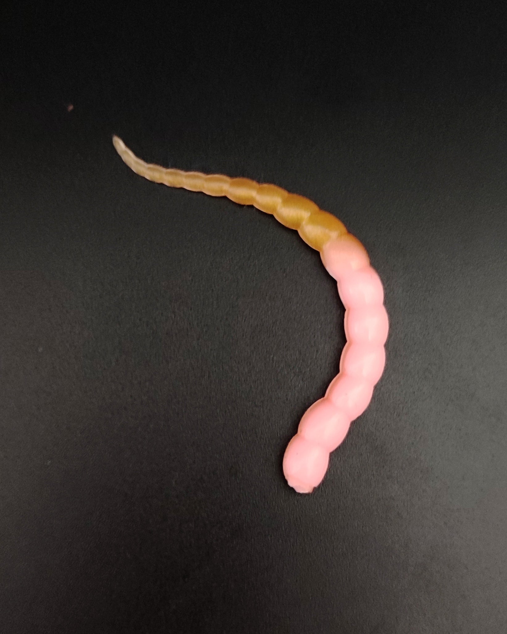 Cobra  (Rosa/oro) Pink Gold