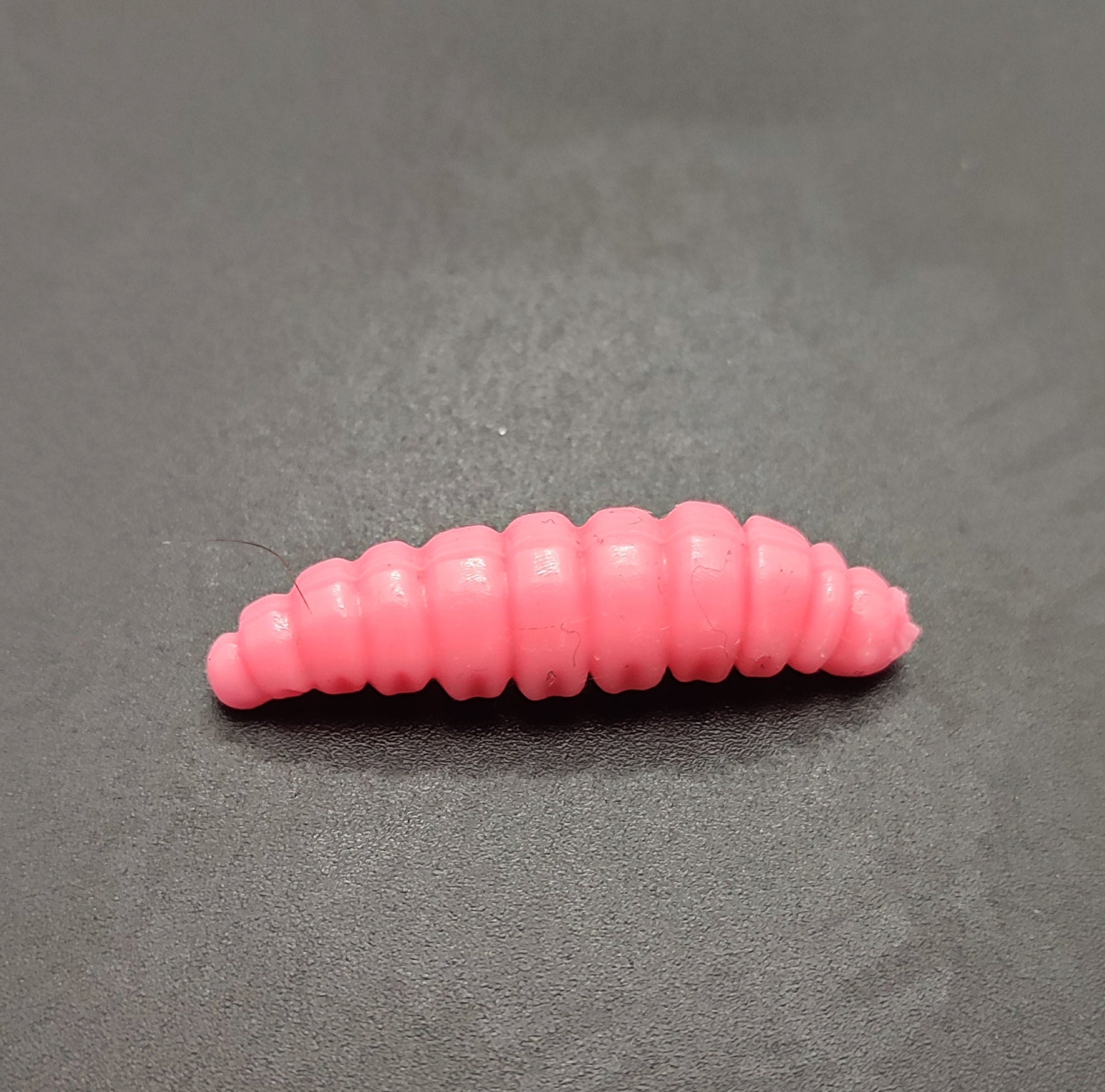 Camola (Rosa)Fluo