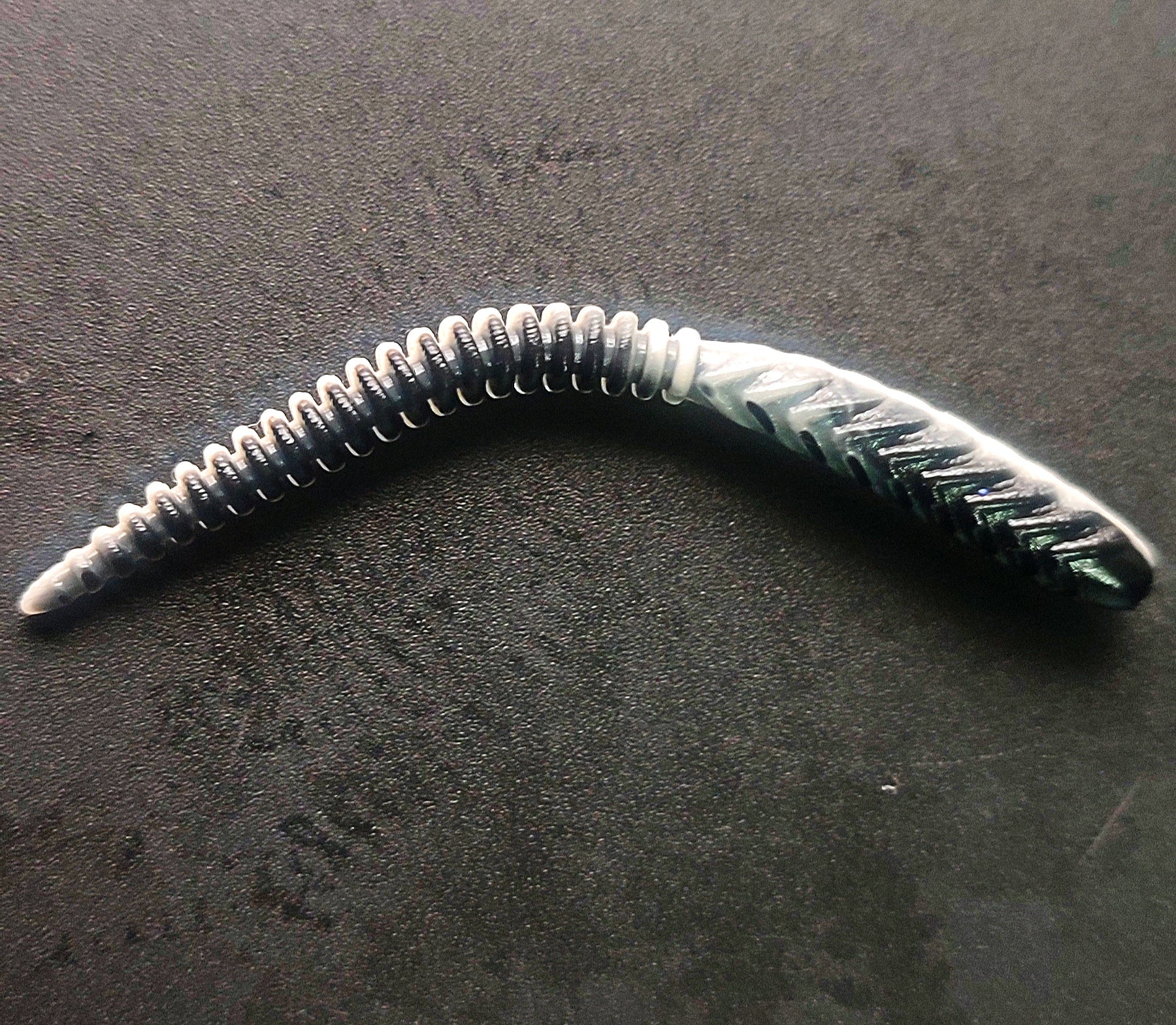 Snake Bicolor(Bianco/Nero)