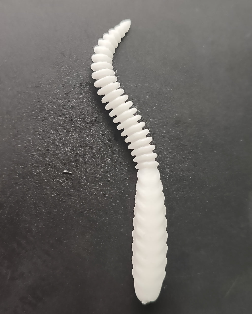 Snake (Bianco)