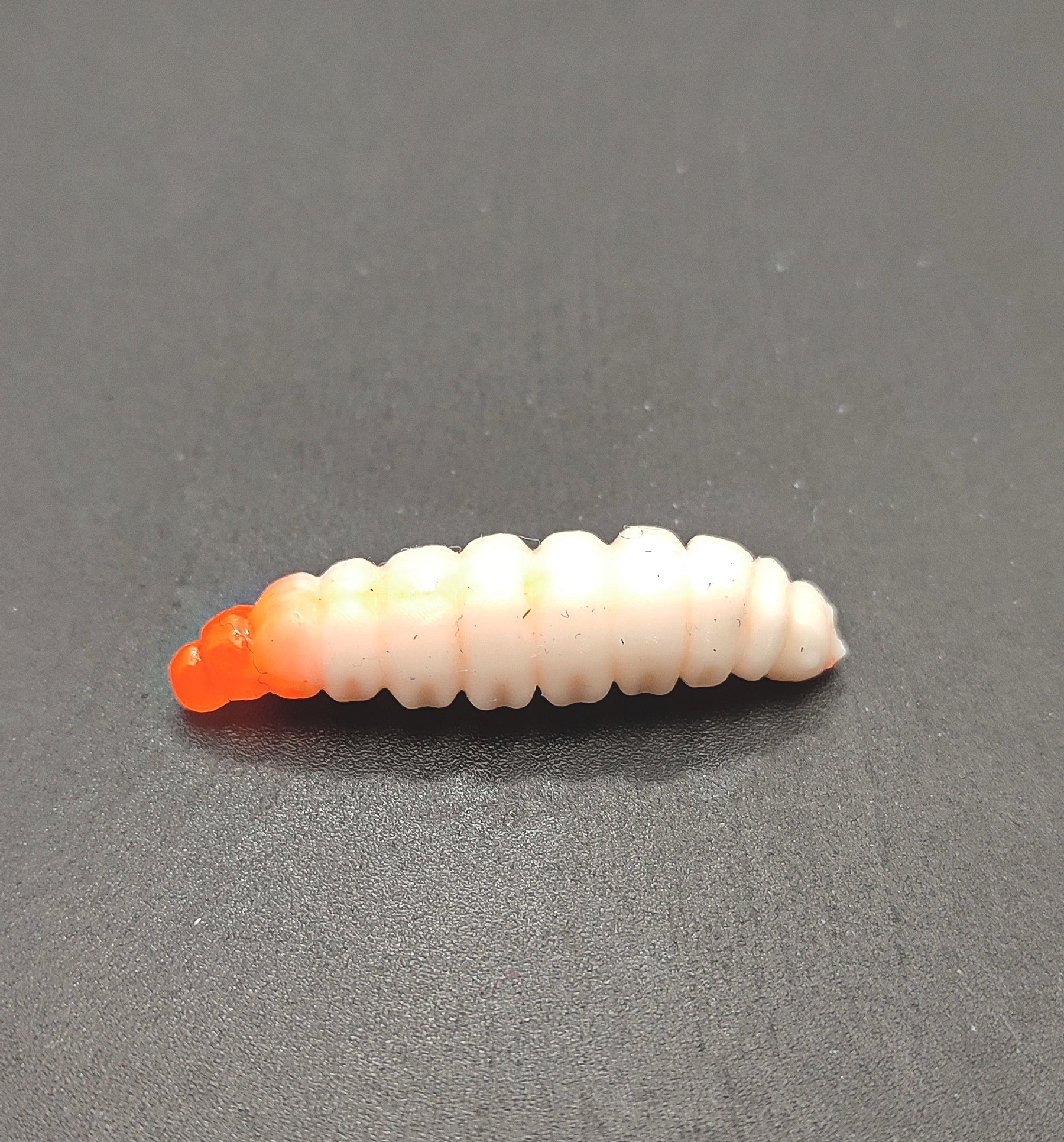 Camola Bicolor (Bianco/Arancio)