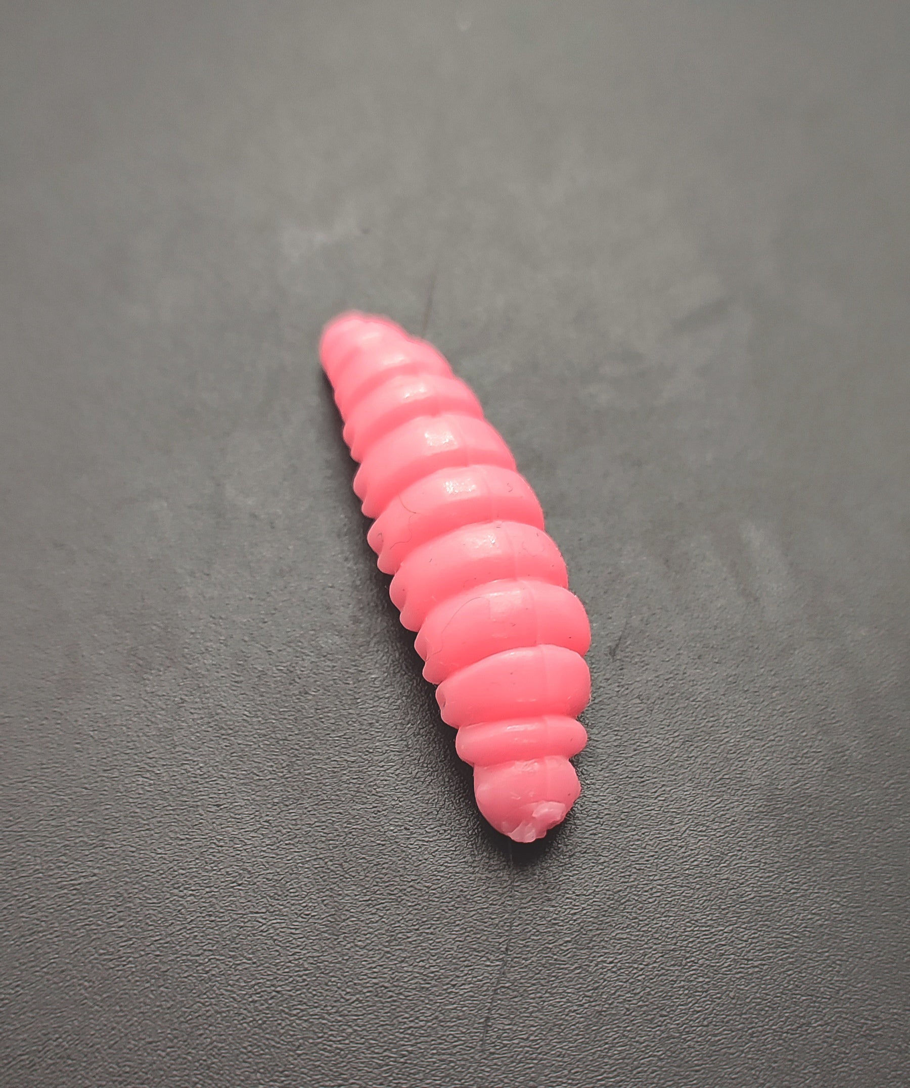 Camola (Rosa)Fluo
