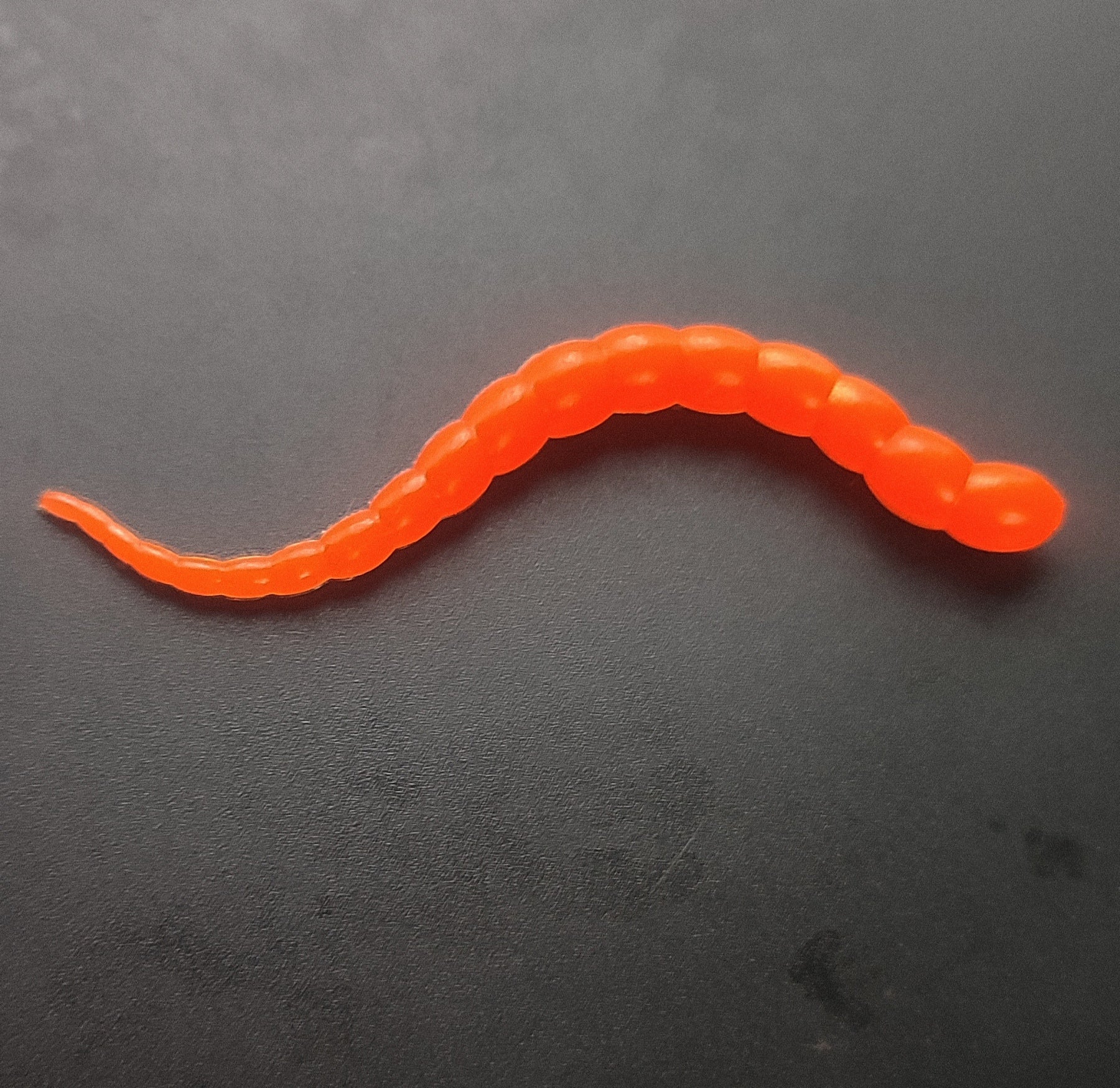 Cobra Bicolor (Arancio fluo/Oro) 7,5cm.
