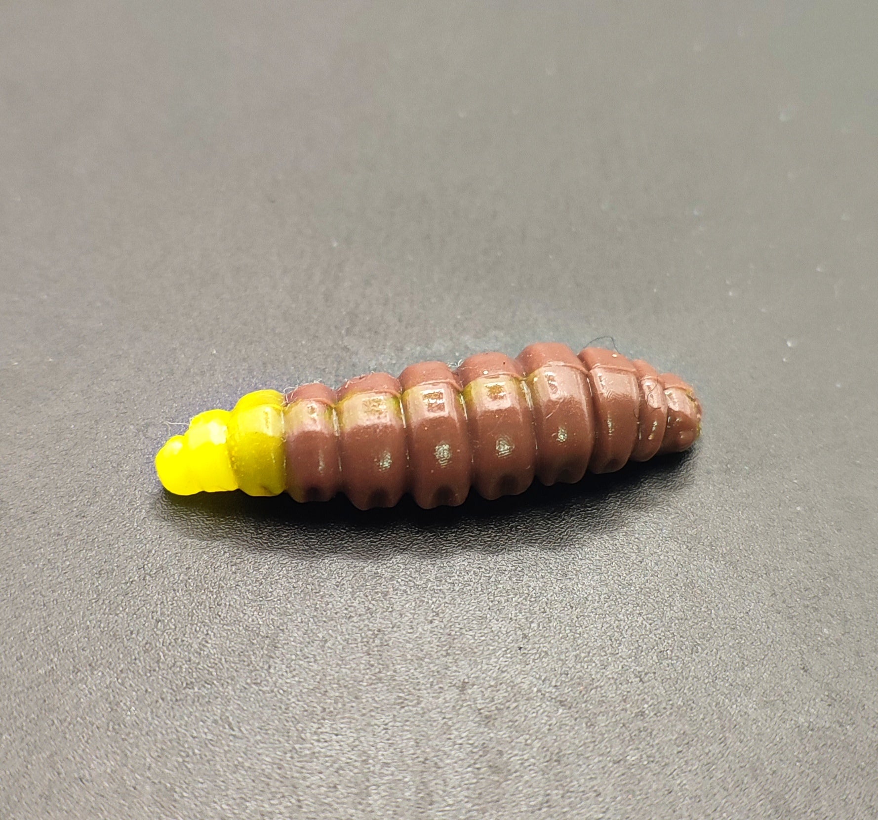 Camola Bicolor (Marrone/Giallo)