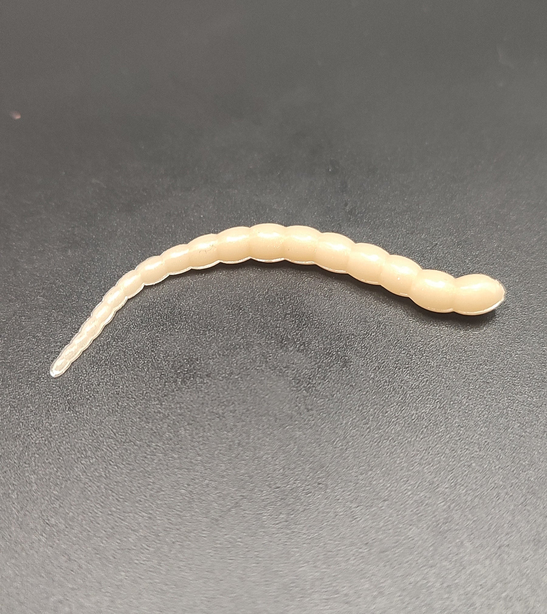 Cobra  (Bianco Caimano natural) col.5