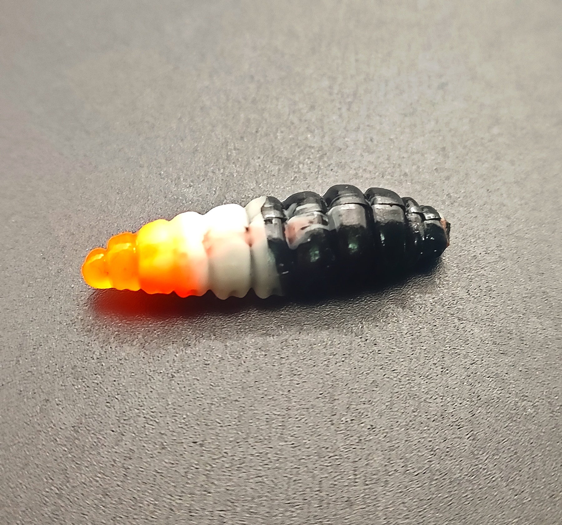 Camola Tricolor (Nero/bianco/Arancio) Turbo