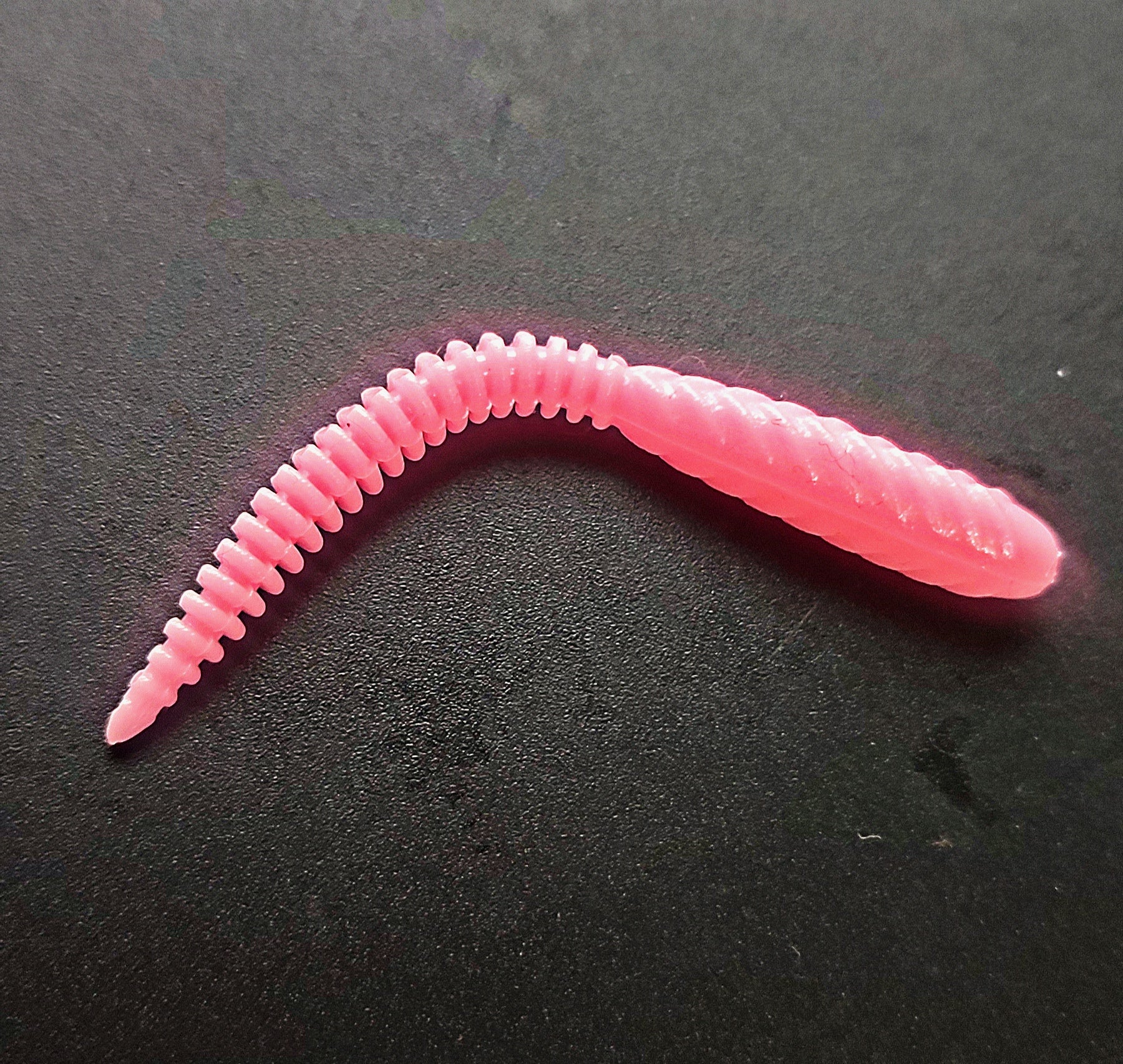 Snake (Rosa fluo)