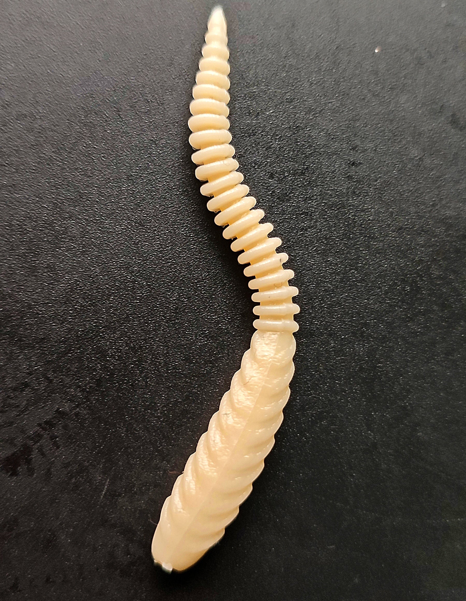 Snake (Bianco Natural)
