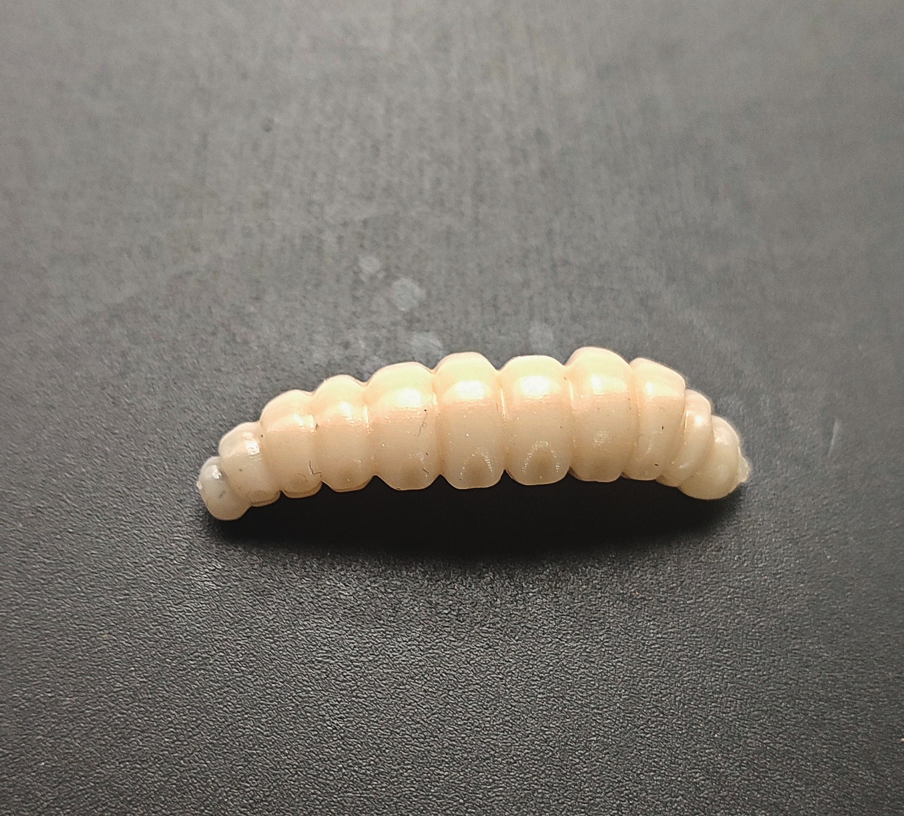 Camola  (Bianco naturale)