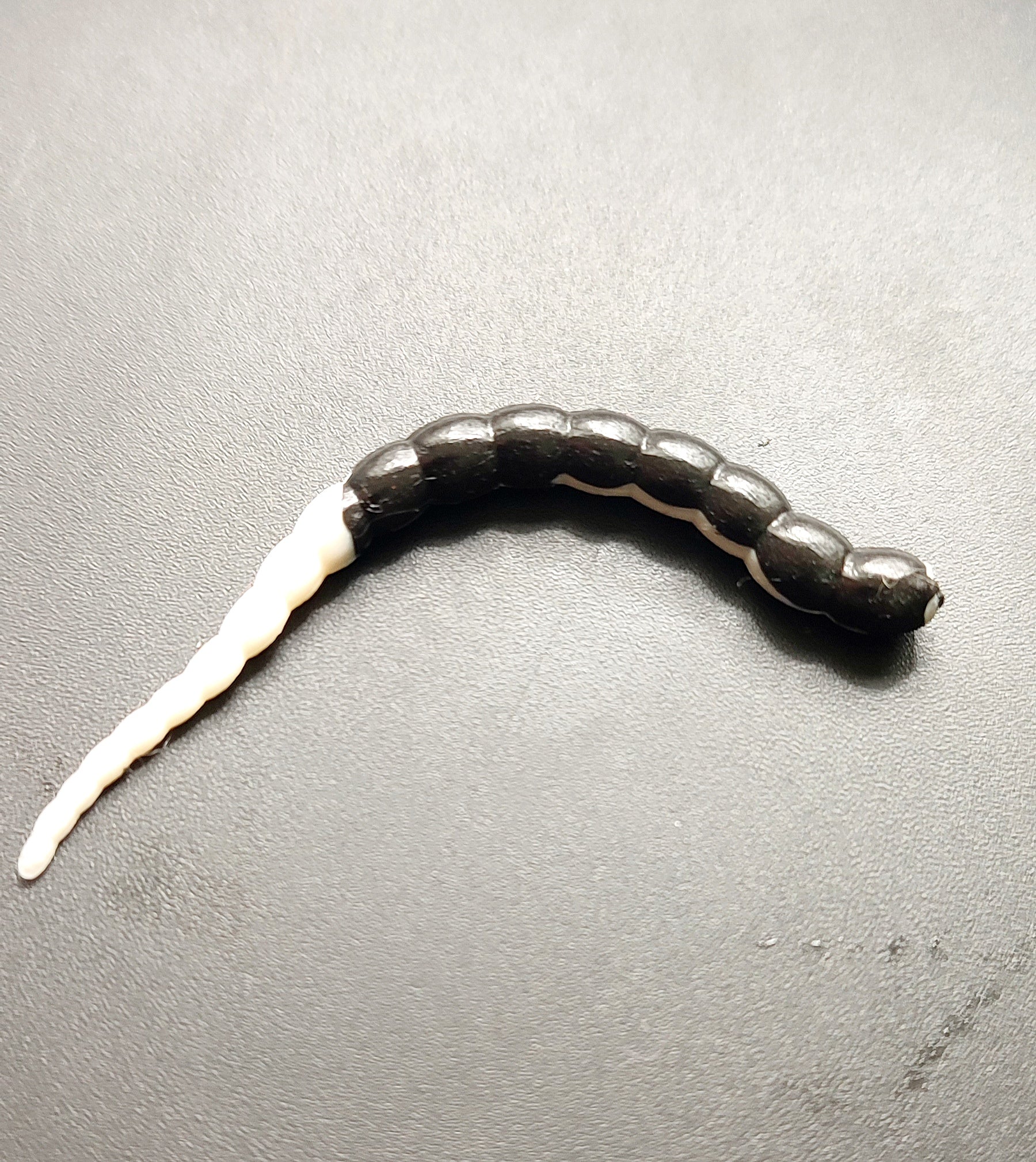 Cobra Bicolor (Bianco/Nero)