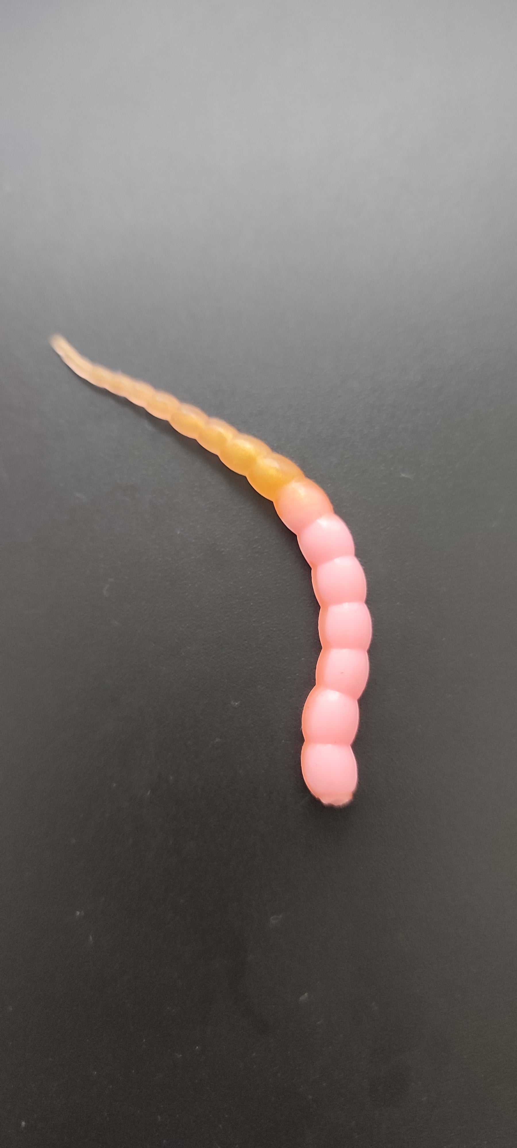 Cobra  (Rosa/oro) Pink Gold