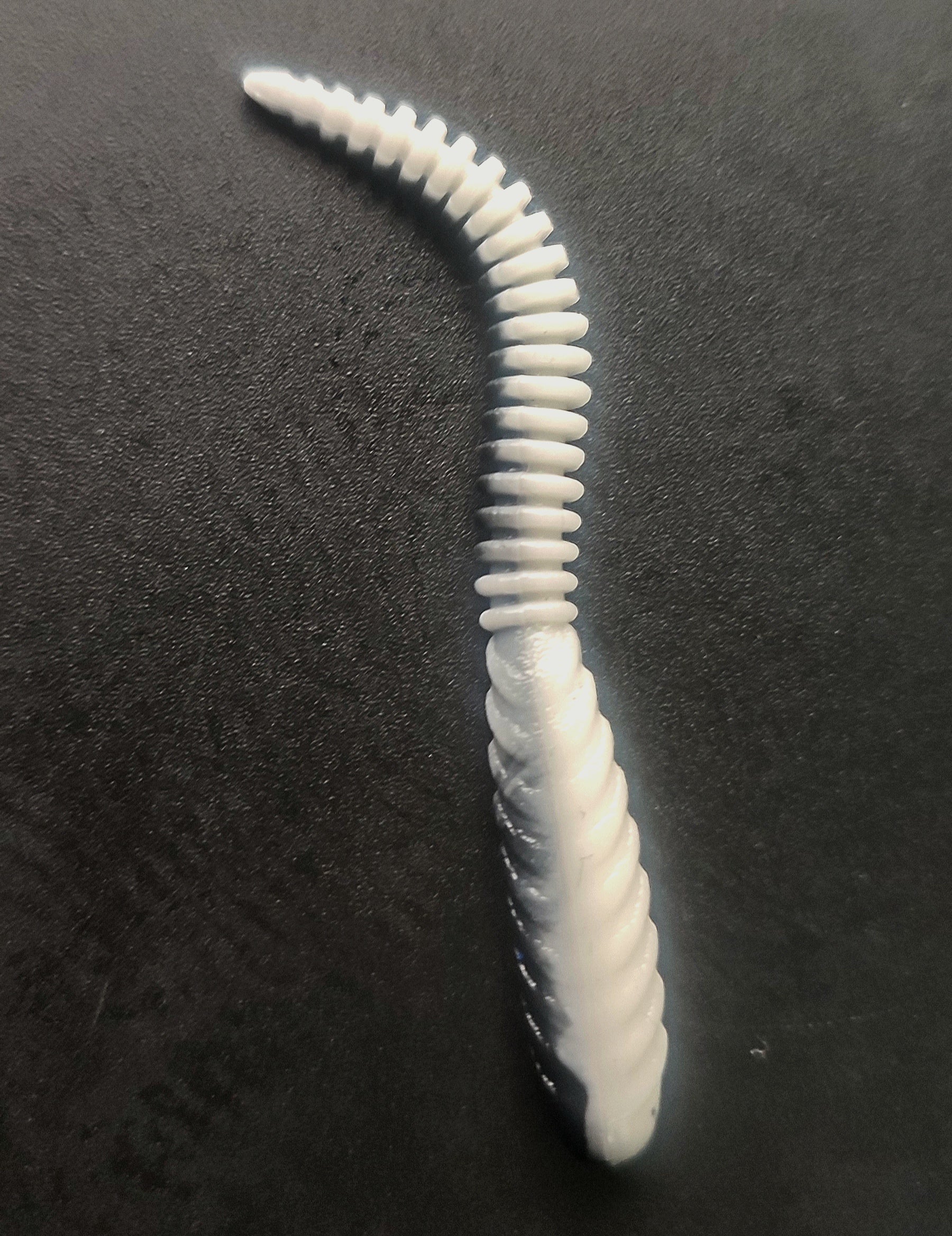 Snake Bicolor(Bianco/Nero)