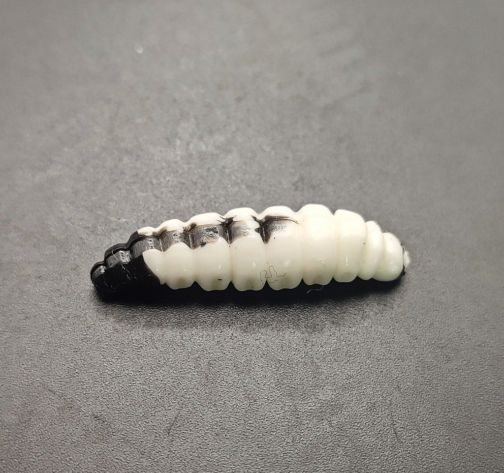 Camola Bicolor (Bianco/Nero)