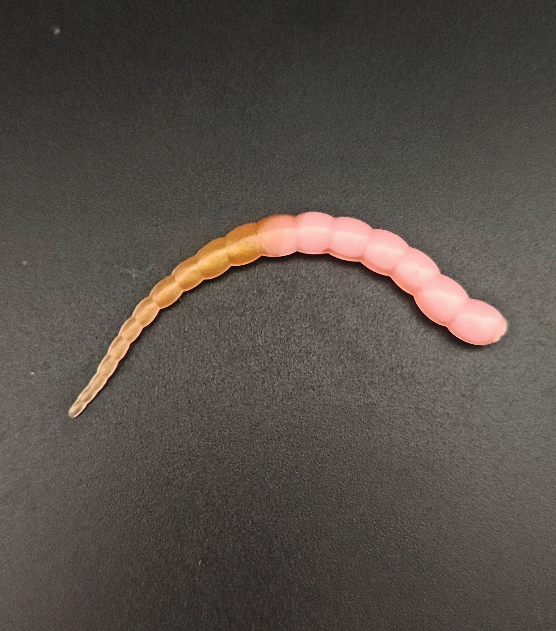 Cobra  (Rosa/oro) Pink Gold