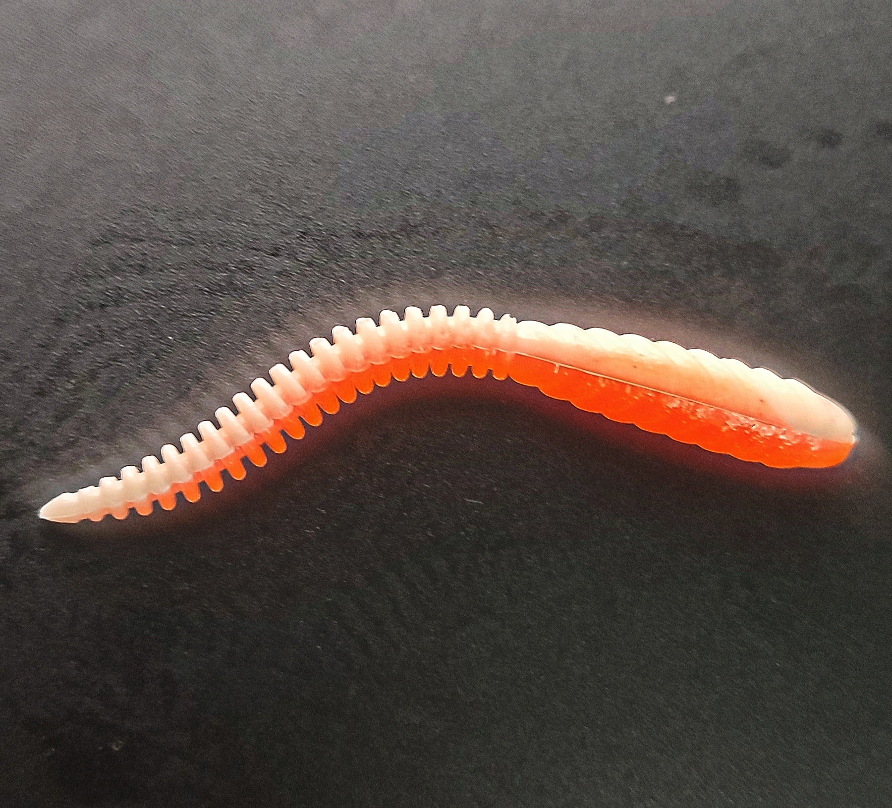Snake Bicolor(Bianco/Arancio)
