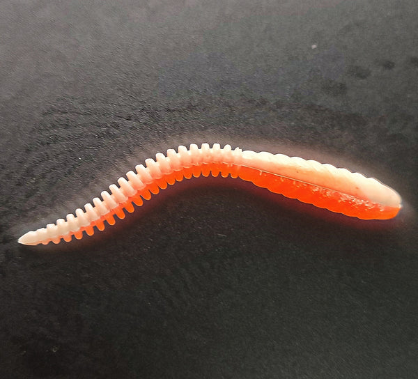 Snake Bicolor(Bianco/Arancio)