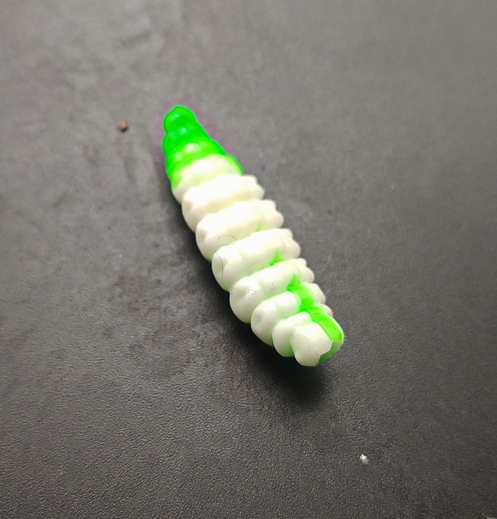 Camola Bicolor (Bianco/Verde)