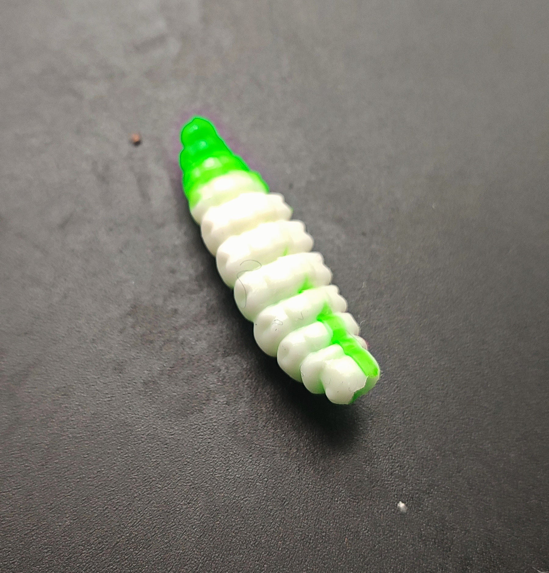 Camola Bicolor (Bianco/Verde)