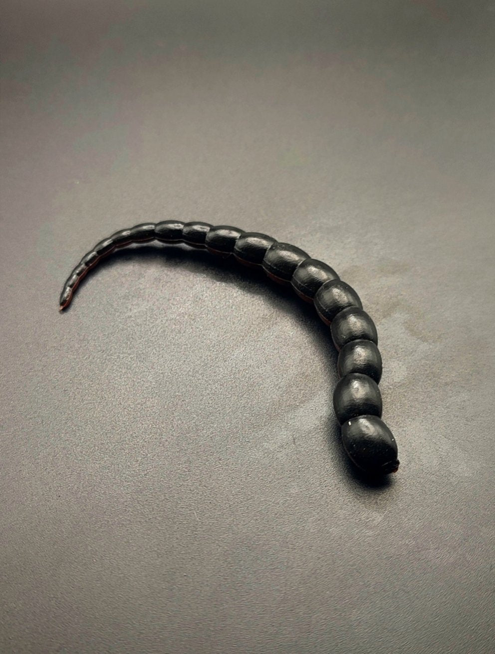 Cobra Bicolor (Nero/Marrone) 7,5cm.