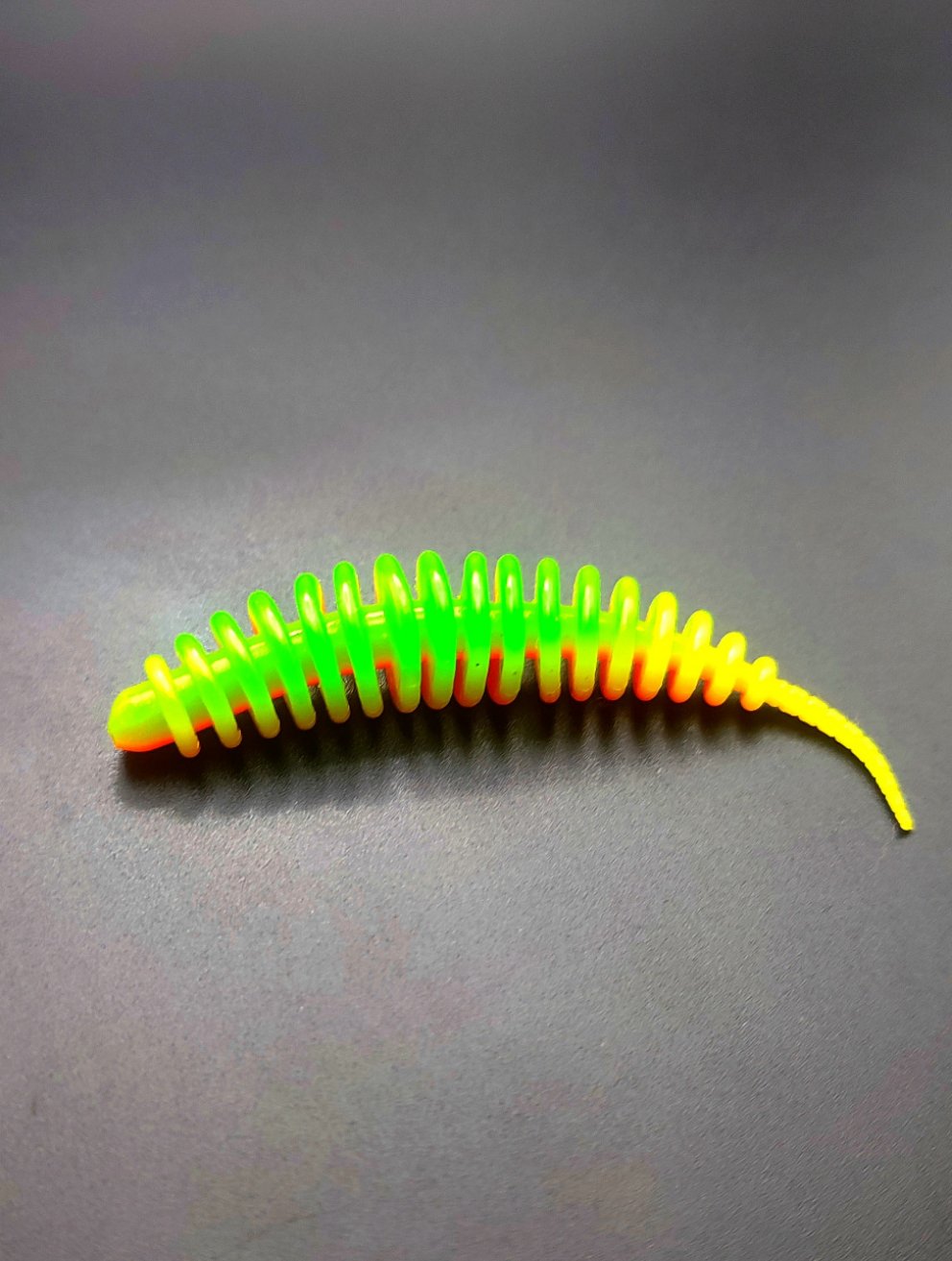 Troutworm3 (Rainbow)Arcobaleno