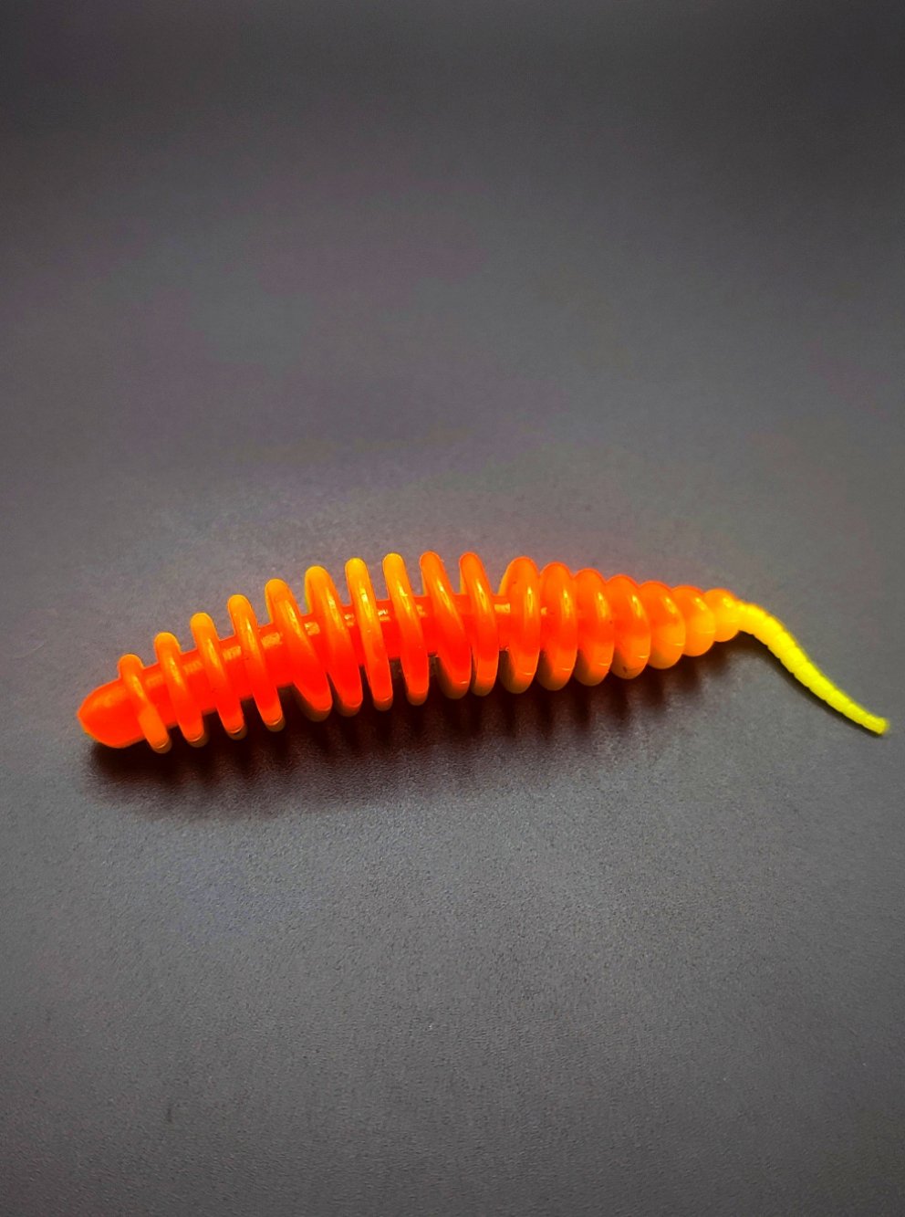 Troutworm3 (Rainbow)Arcobaleno