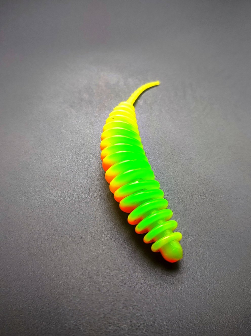 Troutworm3 (Rainbow)Arcobaleno