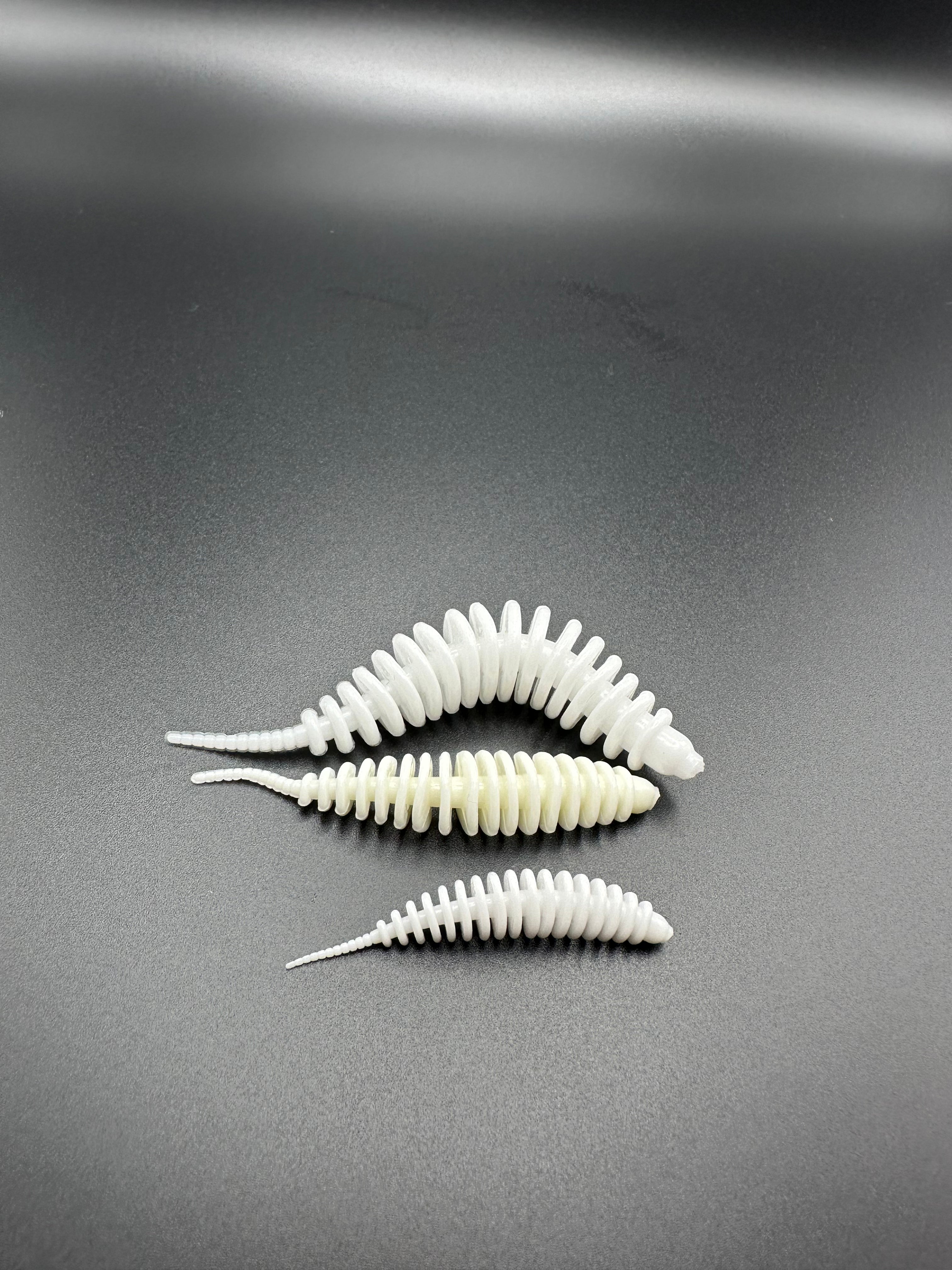 TroutWorm1 ( Bianco)