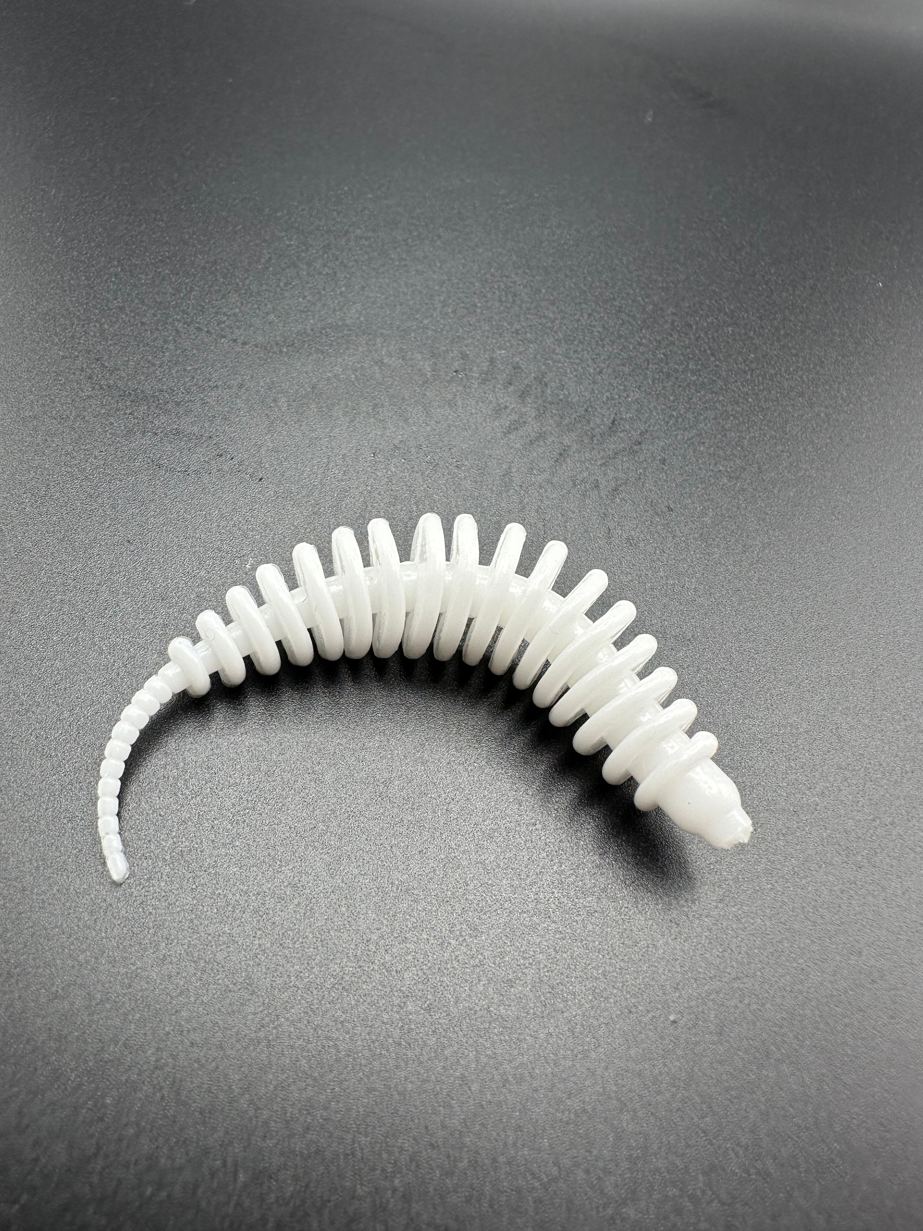 TroutWorm1 ( Bianco)