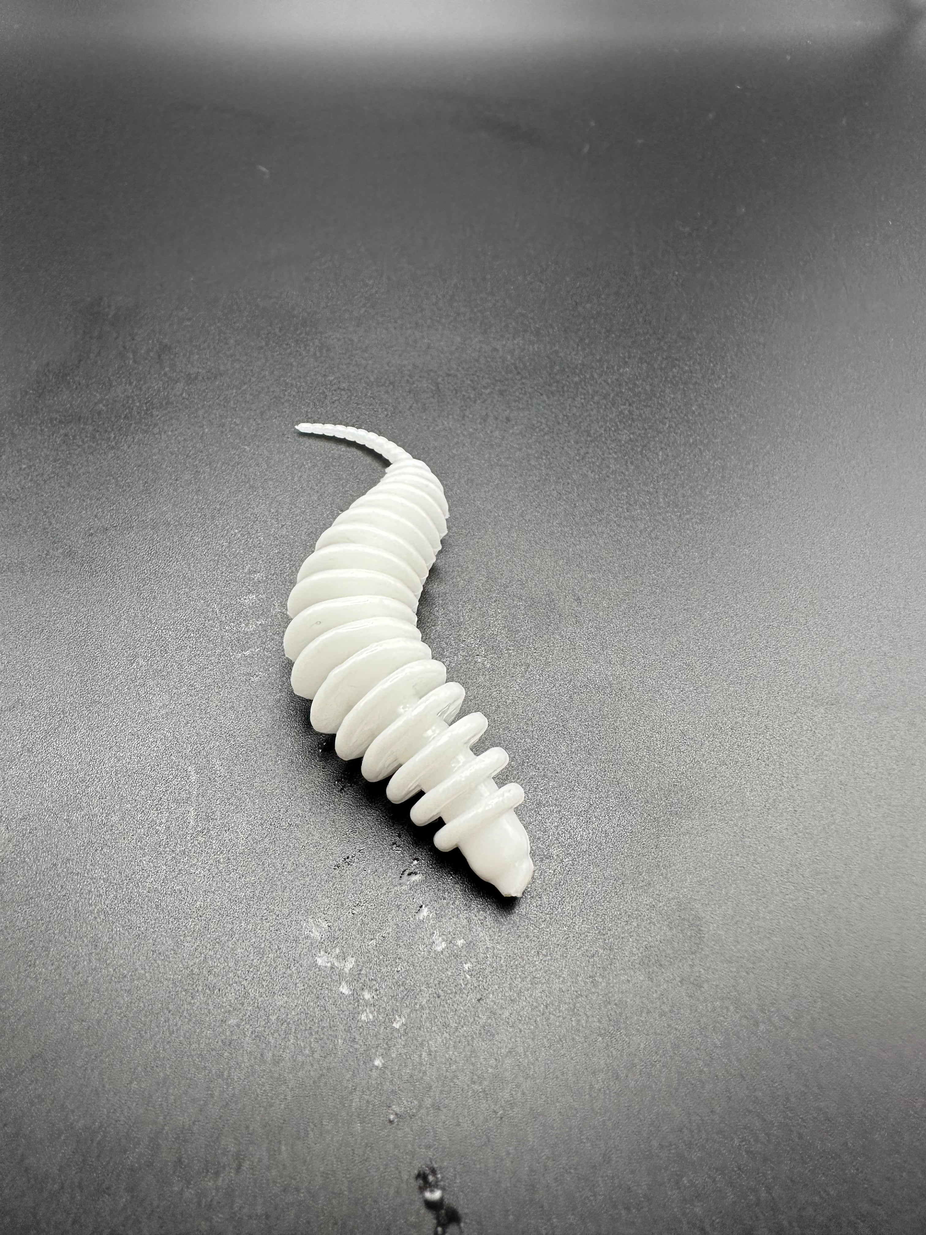 TroutWorm1 (Azzurro light)