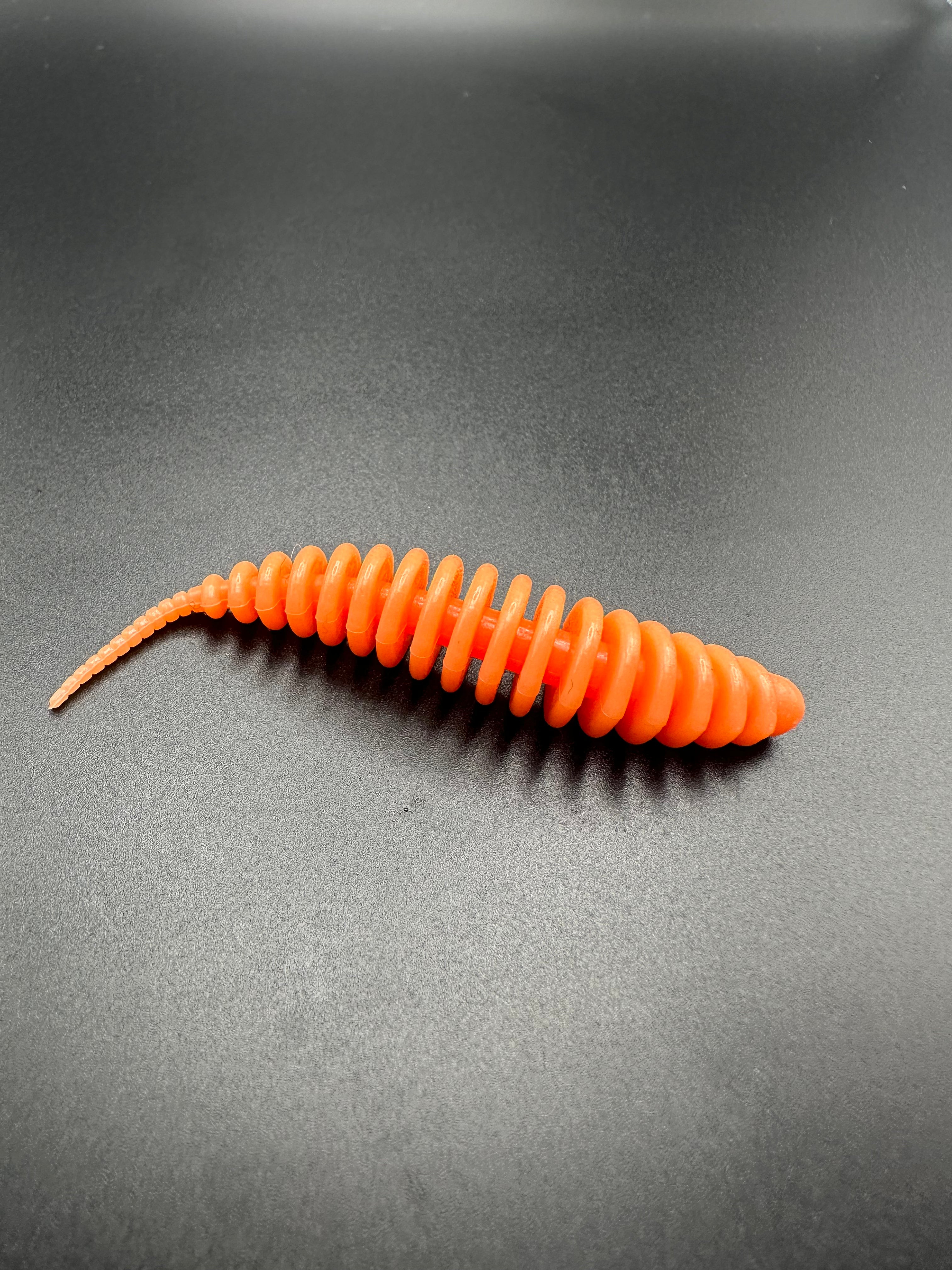 TroutWorm1 ( Salmone)