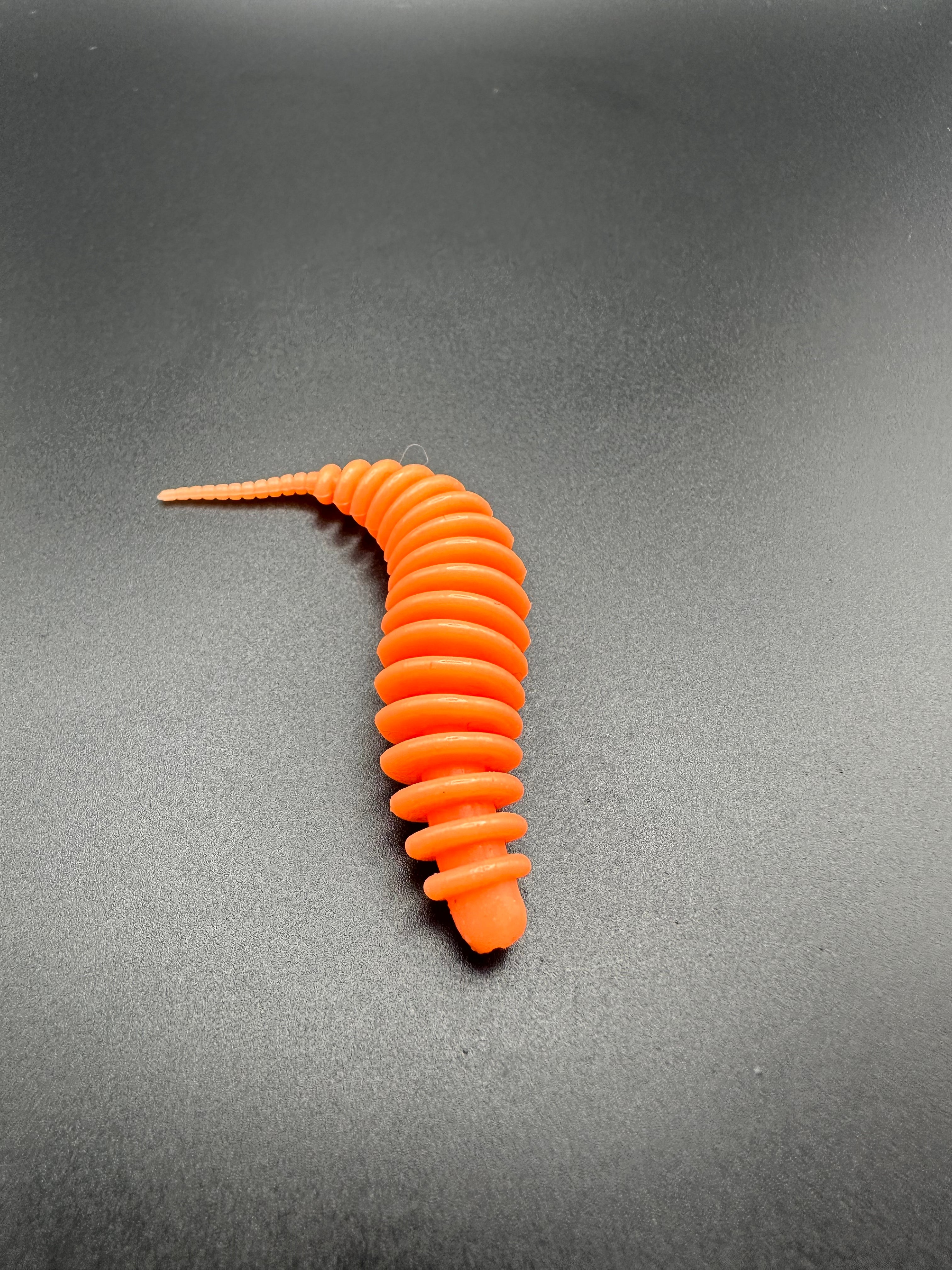 TroutWorm1 ( Salmone)
