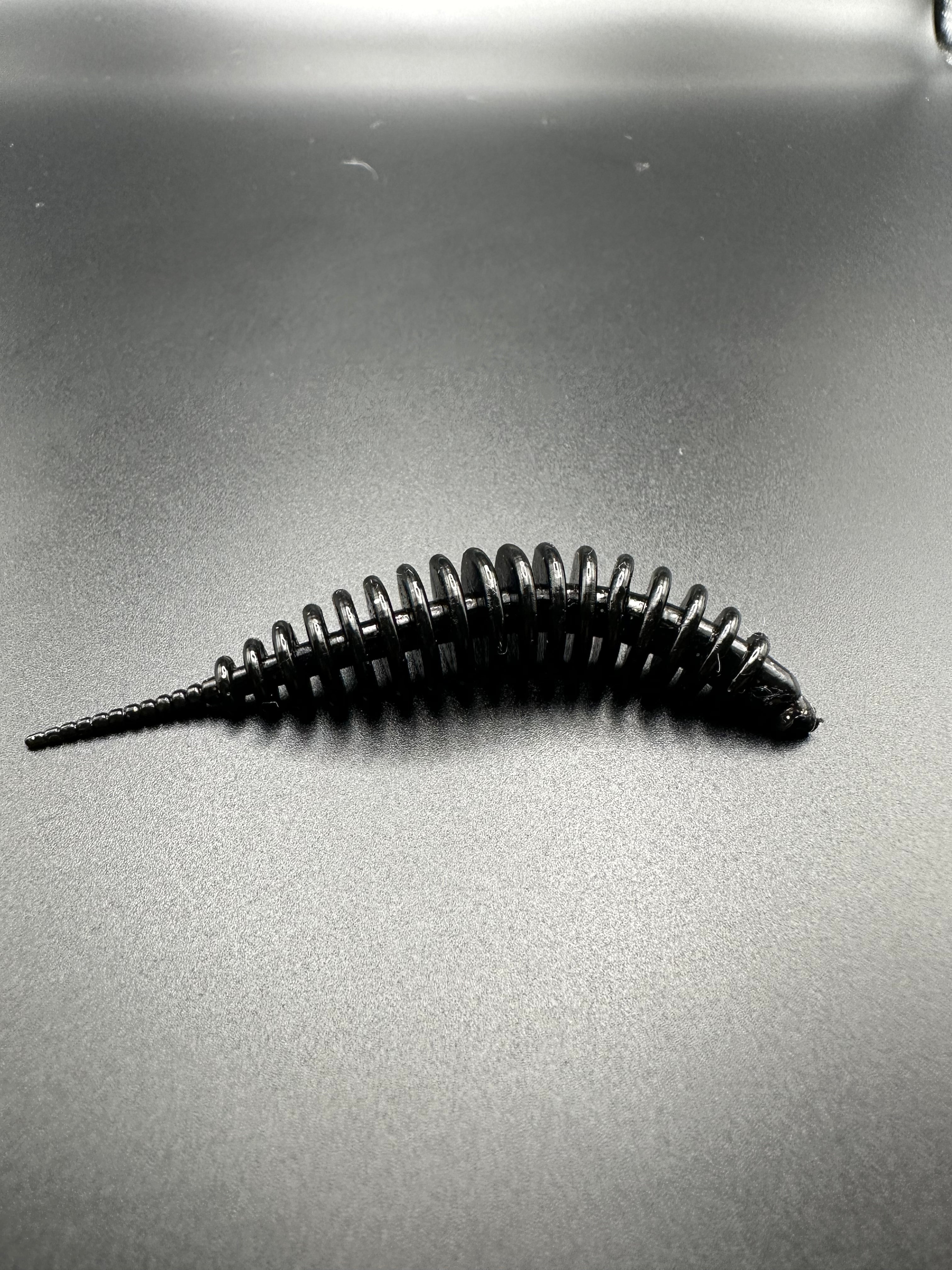 TroutWorm1 ( Nero)