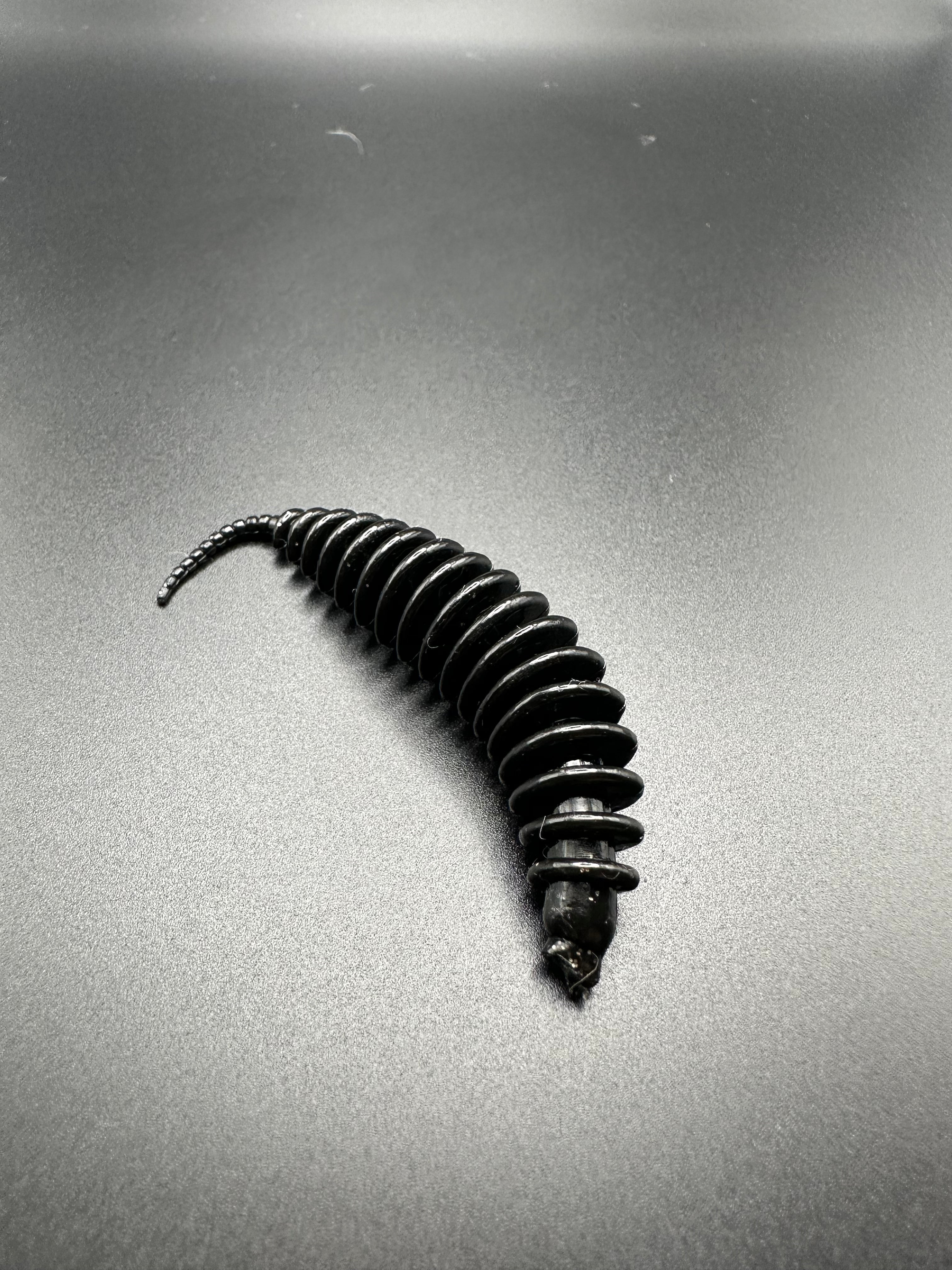 TroutWorm1 ( Nero)