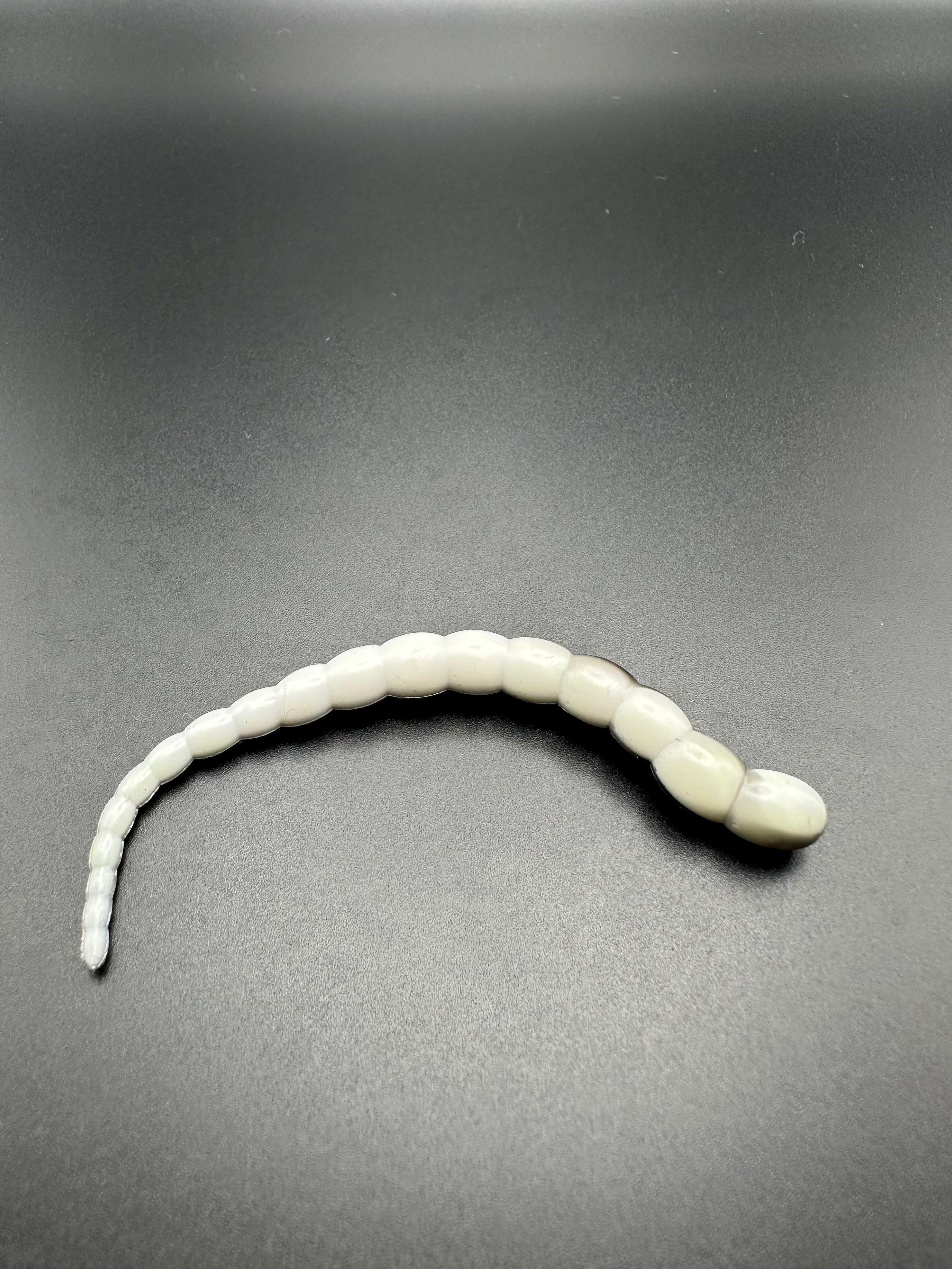 Cobra Bicolor (Bianco/Nero) 7,5cm
