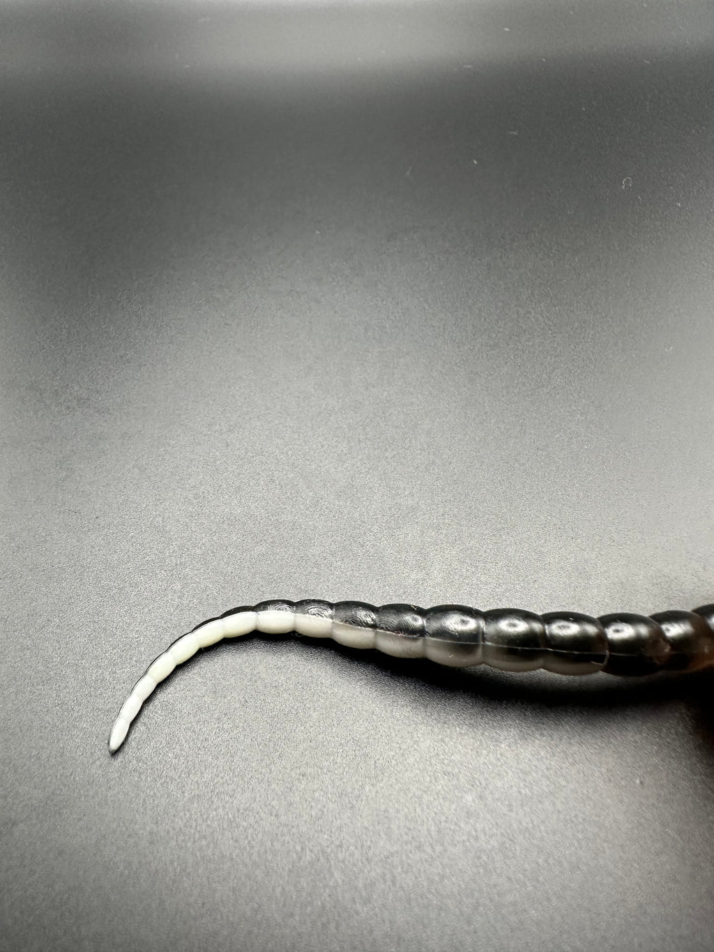 Cobra Bicolor (Bianco/Nero) 7,5cm
