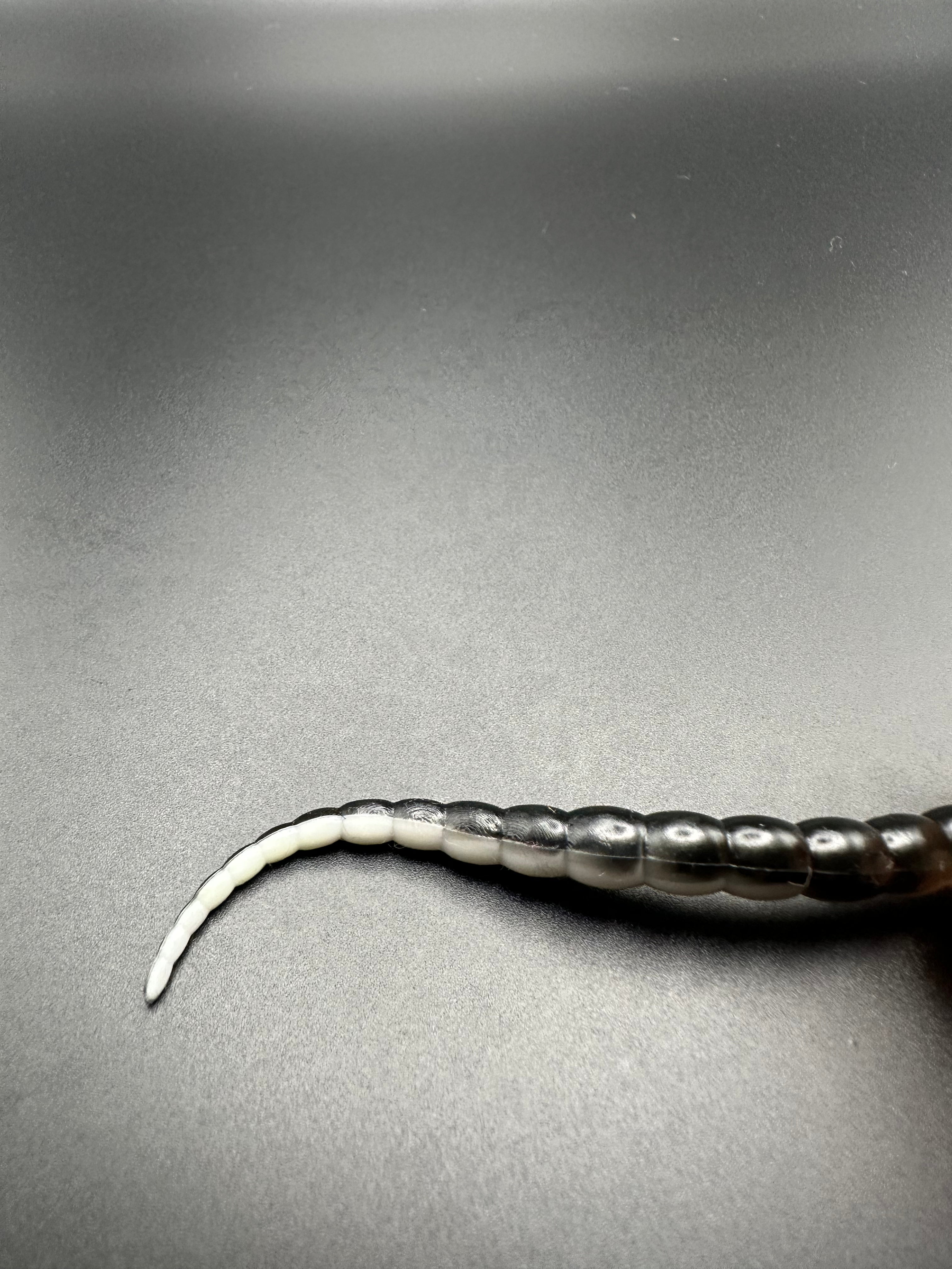 Cobra Bicolor (Bianco/Nero) 7,5cm