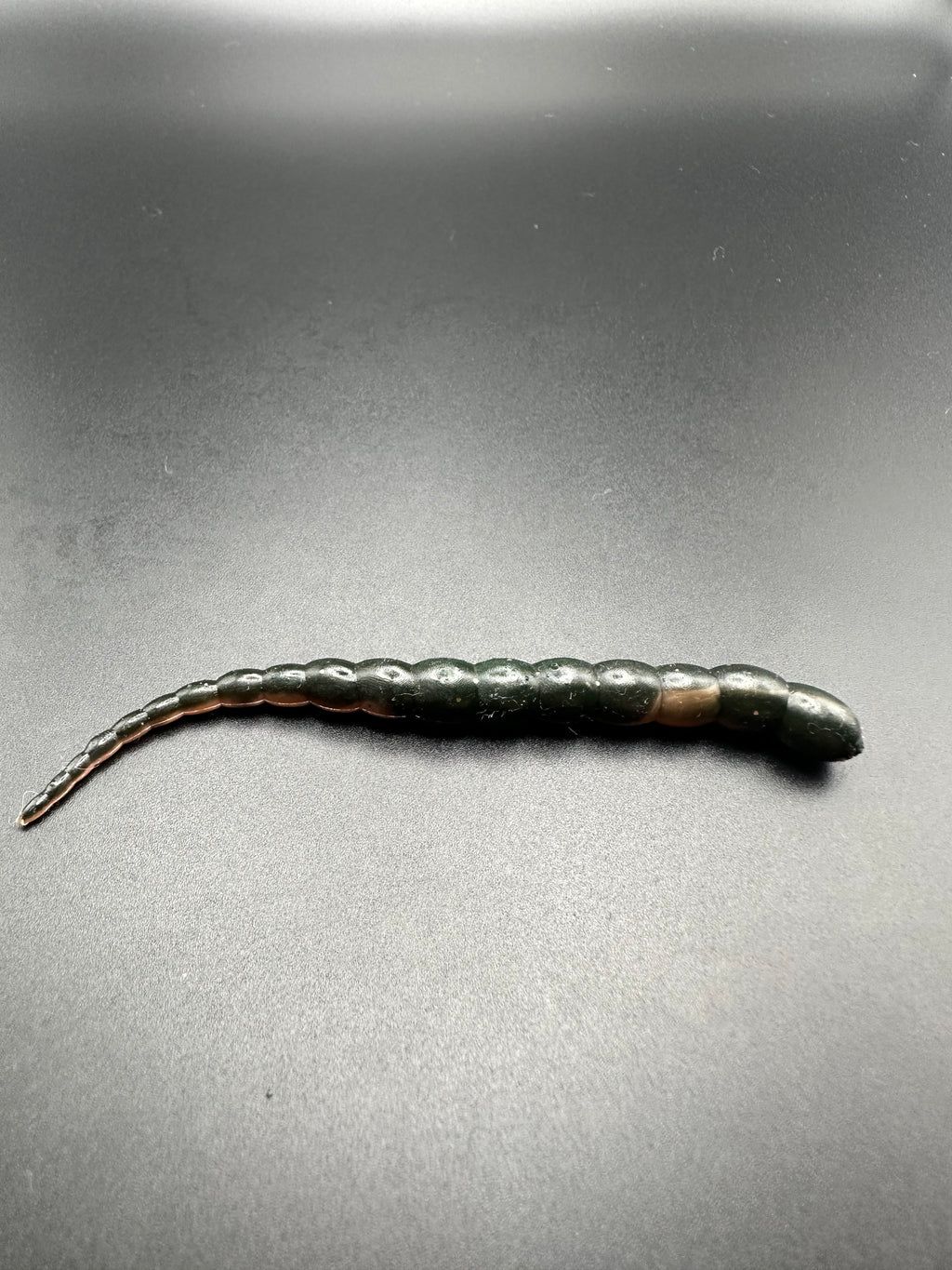 Cobra Bicolor (Arancio/Nero) 7,5cm.