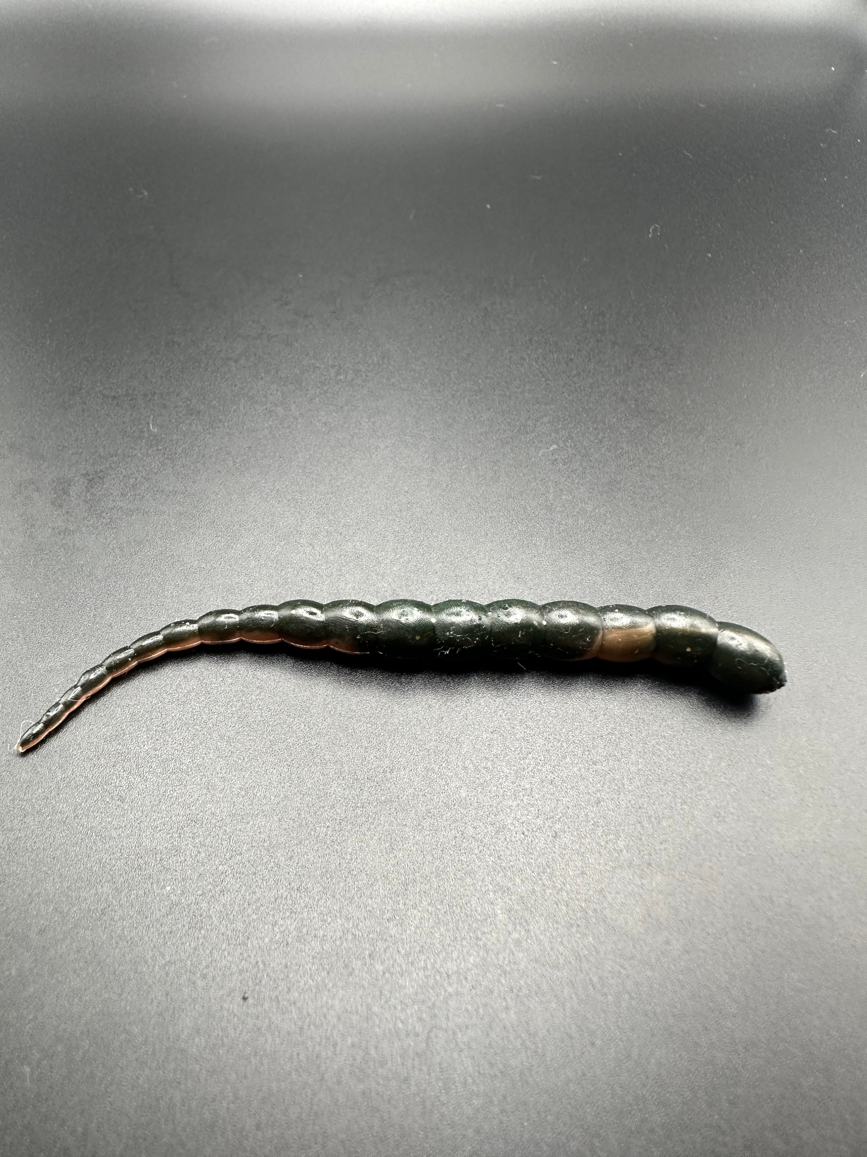Cobra Bicolor (Arancio/Nero) 7,5cm.