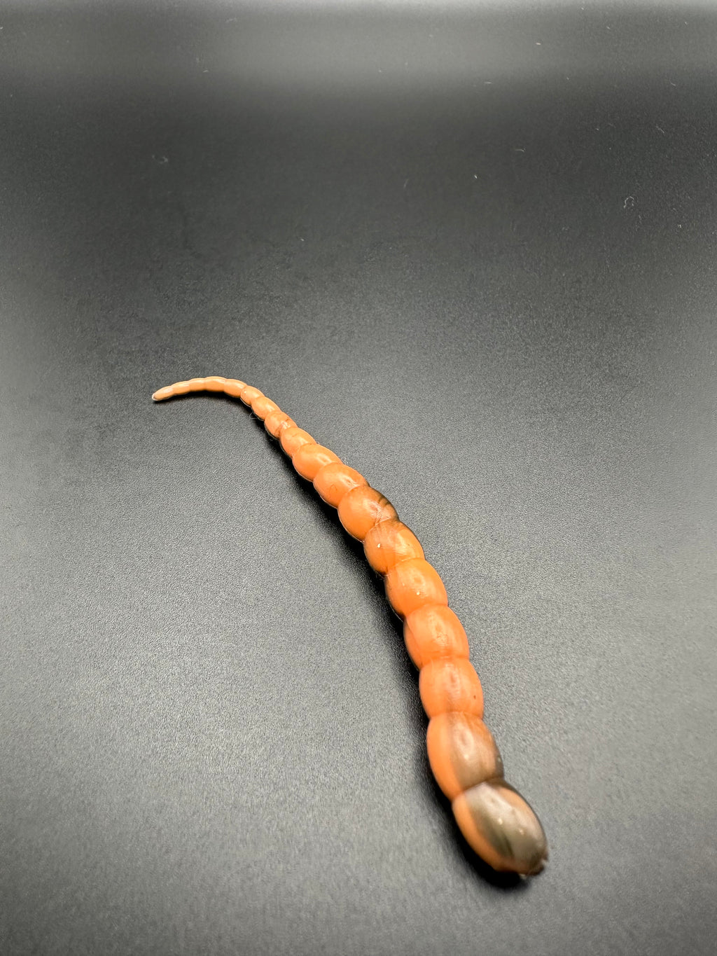 Cobra Bicolor (Arancio/Nero) 7,5cm.