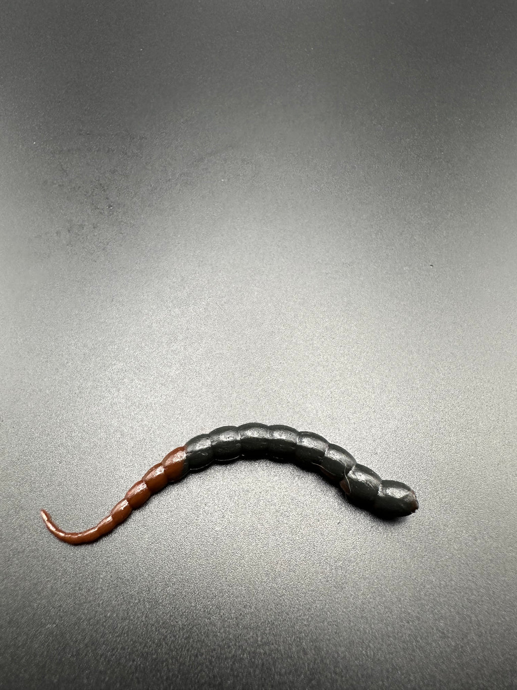 Cobra Bicolor (Nero/Marrone)  col.13