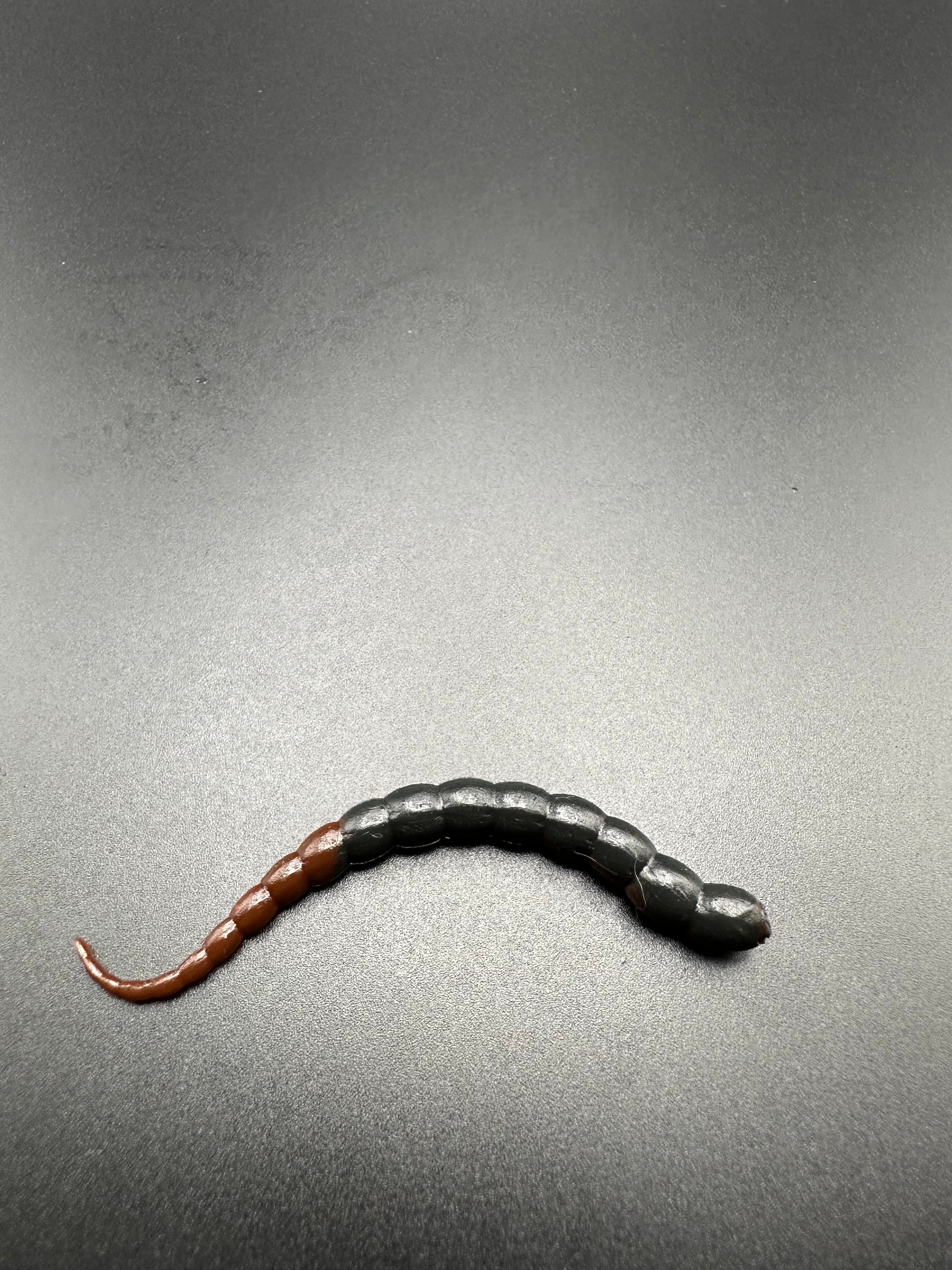 Cobra Bicolor (Nero/Marrone)  col.13