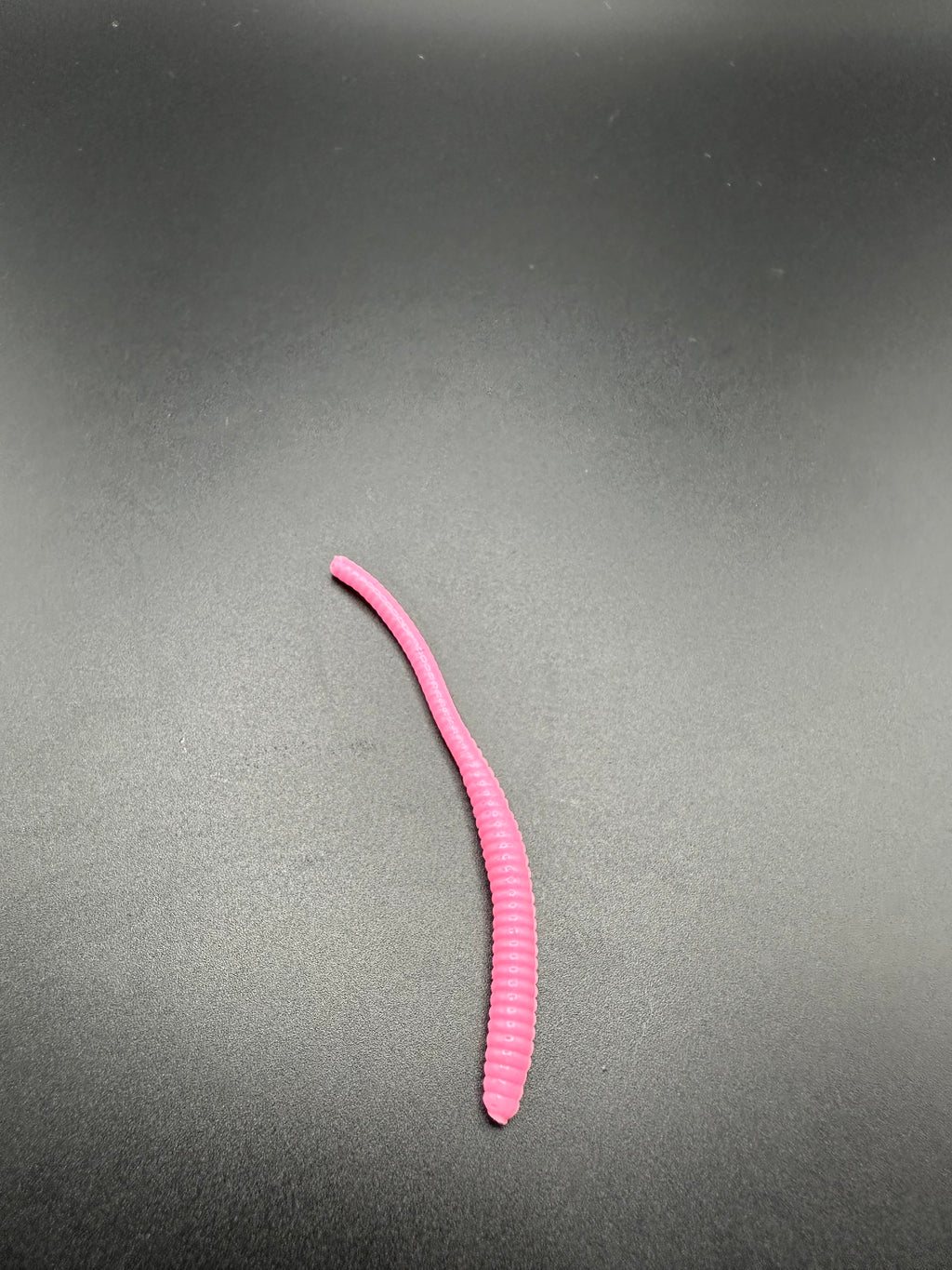 Nightcrawler Lombrico  (Rosa Fluo)
