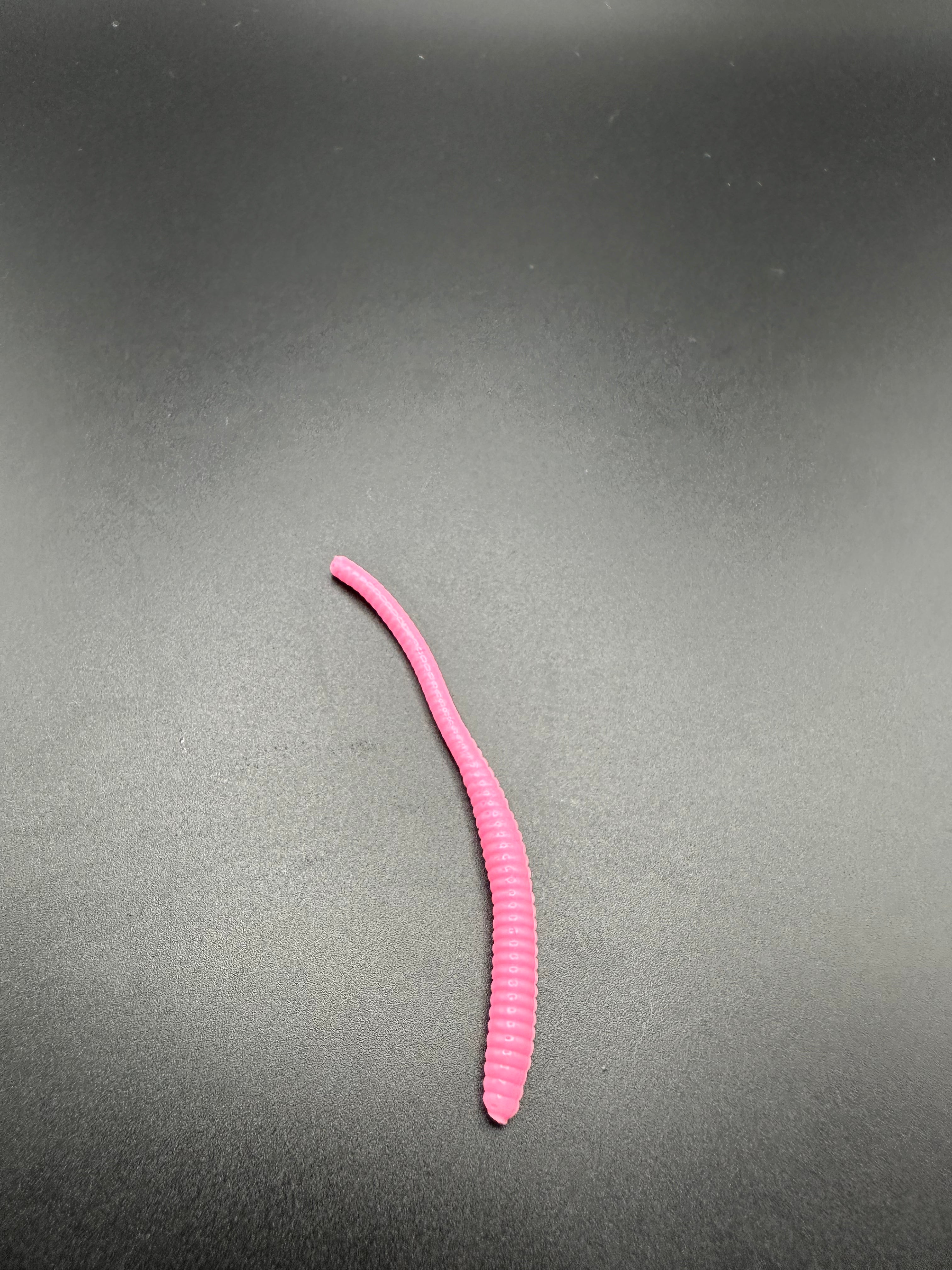 Nightcrawler Lombrico  (Rosa Fluo)