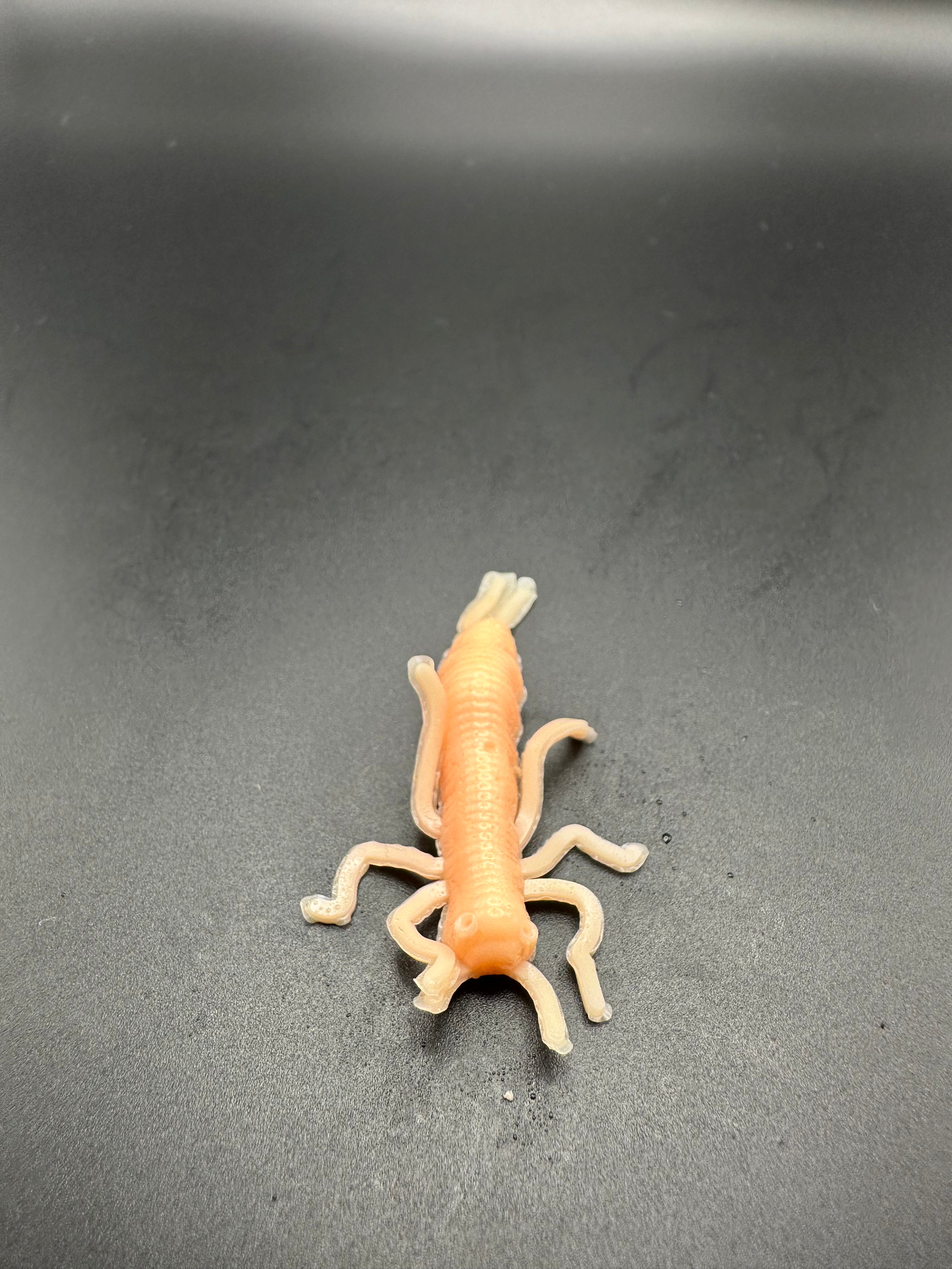 Ninfe PRO (Salmone) 4,5cm